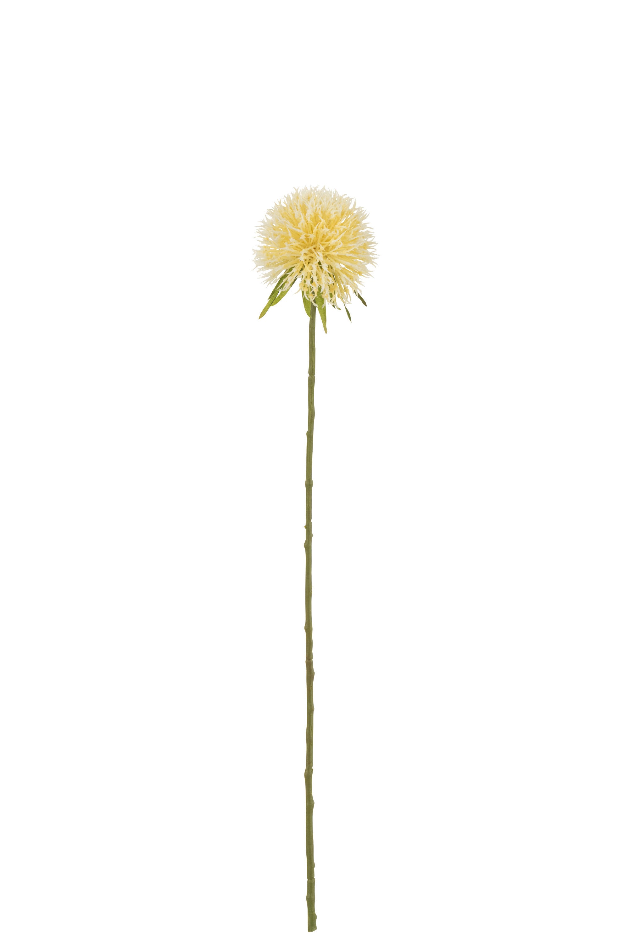 J-Line Bloem Allium Plastiek Licht Geel S