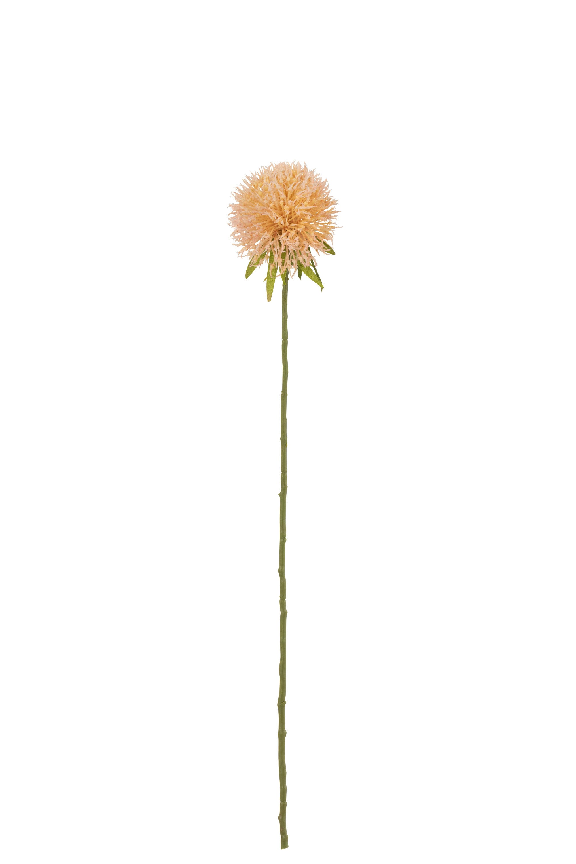 J-Line Bloem Allium Plastiek Roze Perzik S