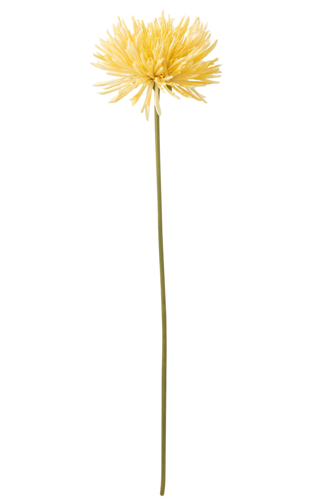 J-Line Chrysant Plastiek Licht Geel