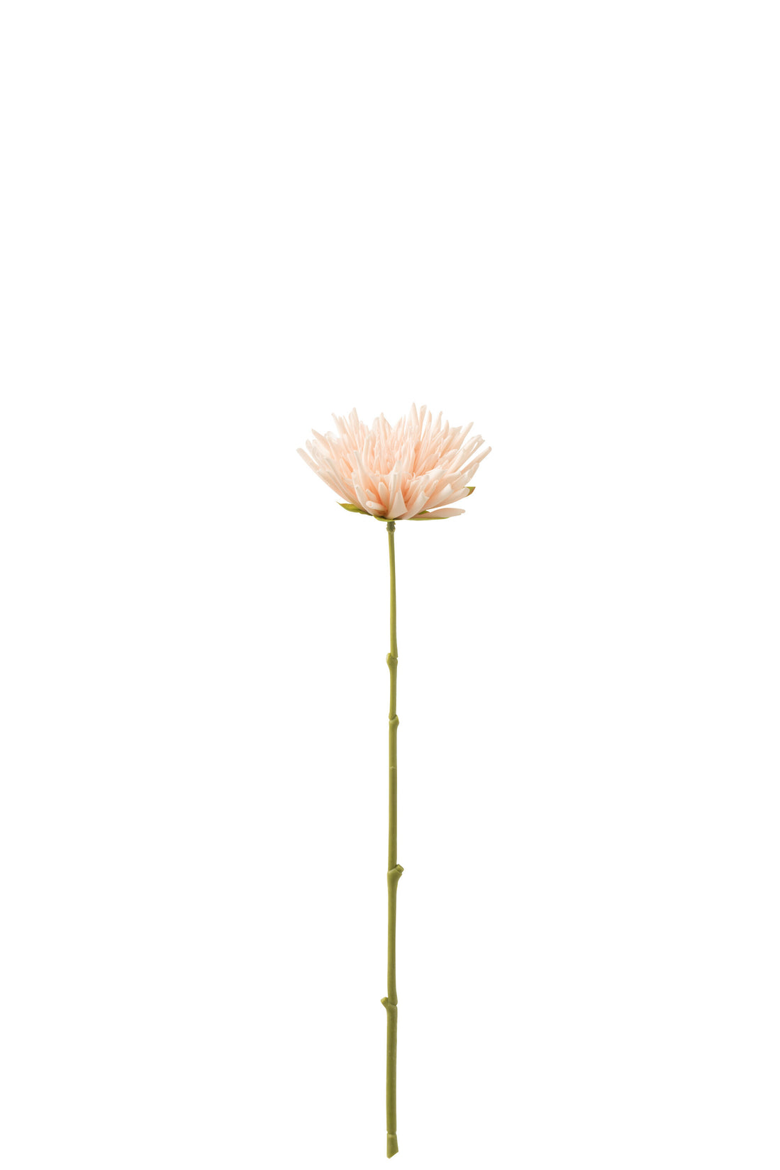 J-Line Chrysant Mini Plastiek Licht Roze