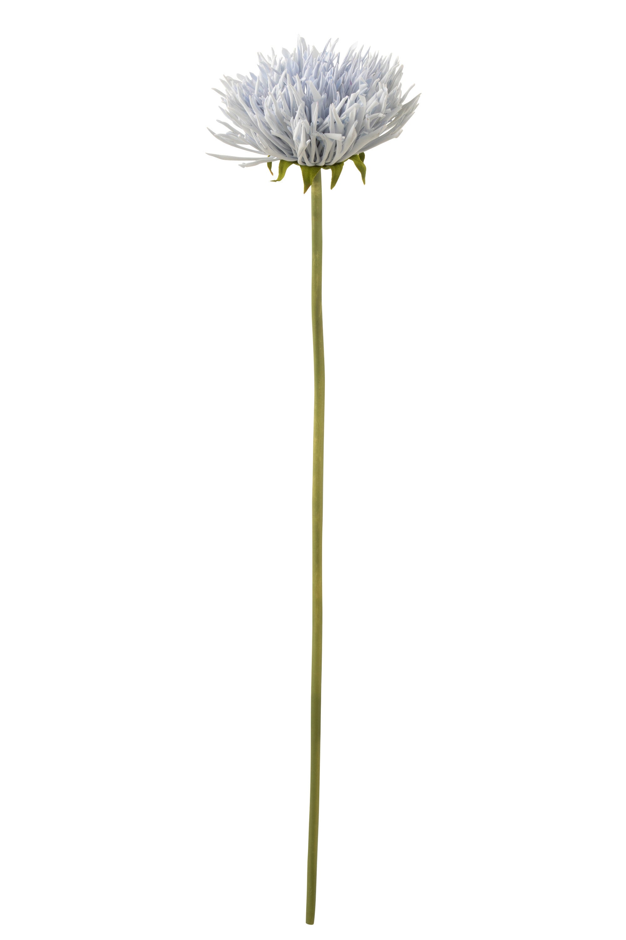 J-Line Chrysant Plastiek Licht Blauw