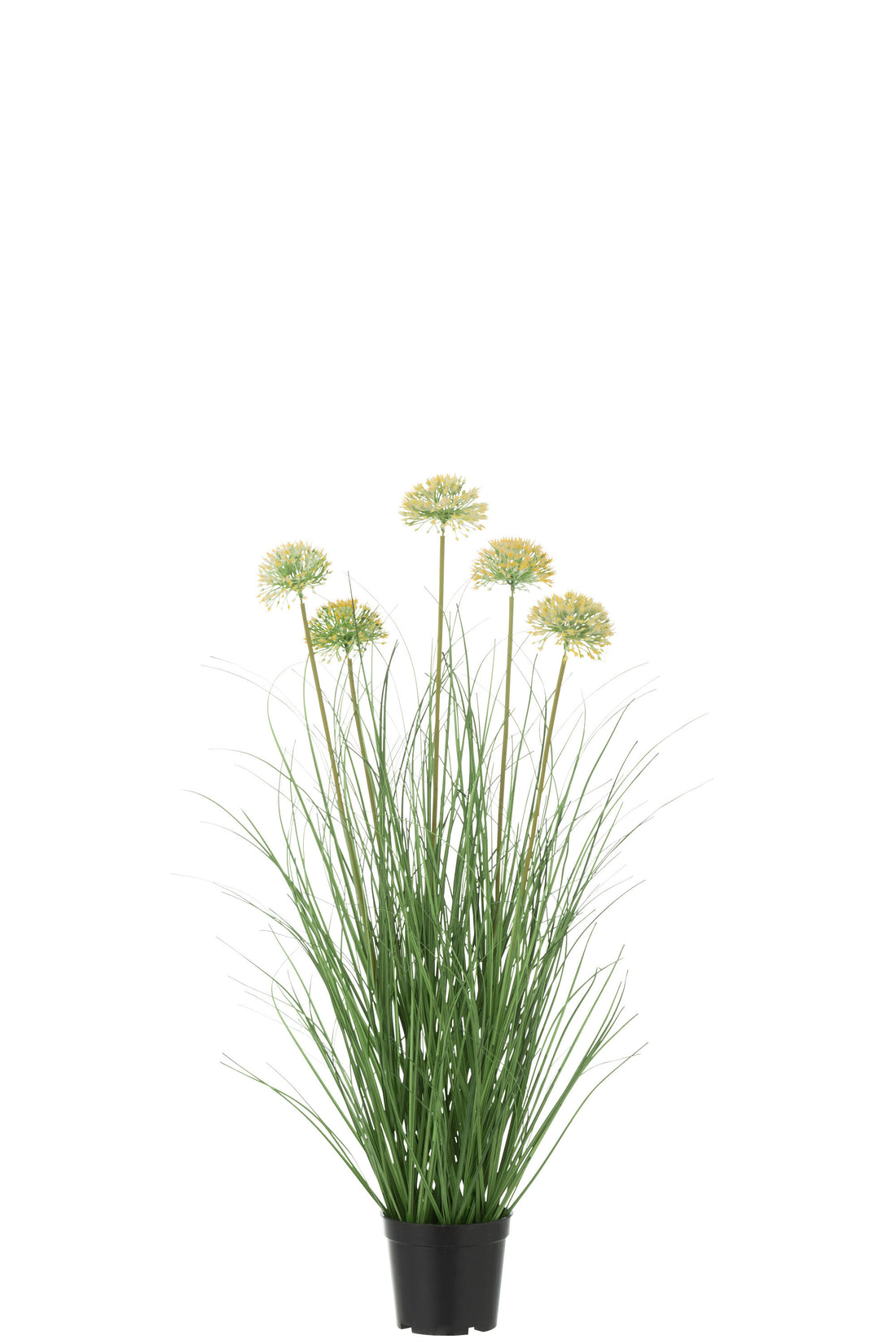J-Line Gras Met Bloem In Pot Pvc Groen
