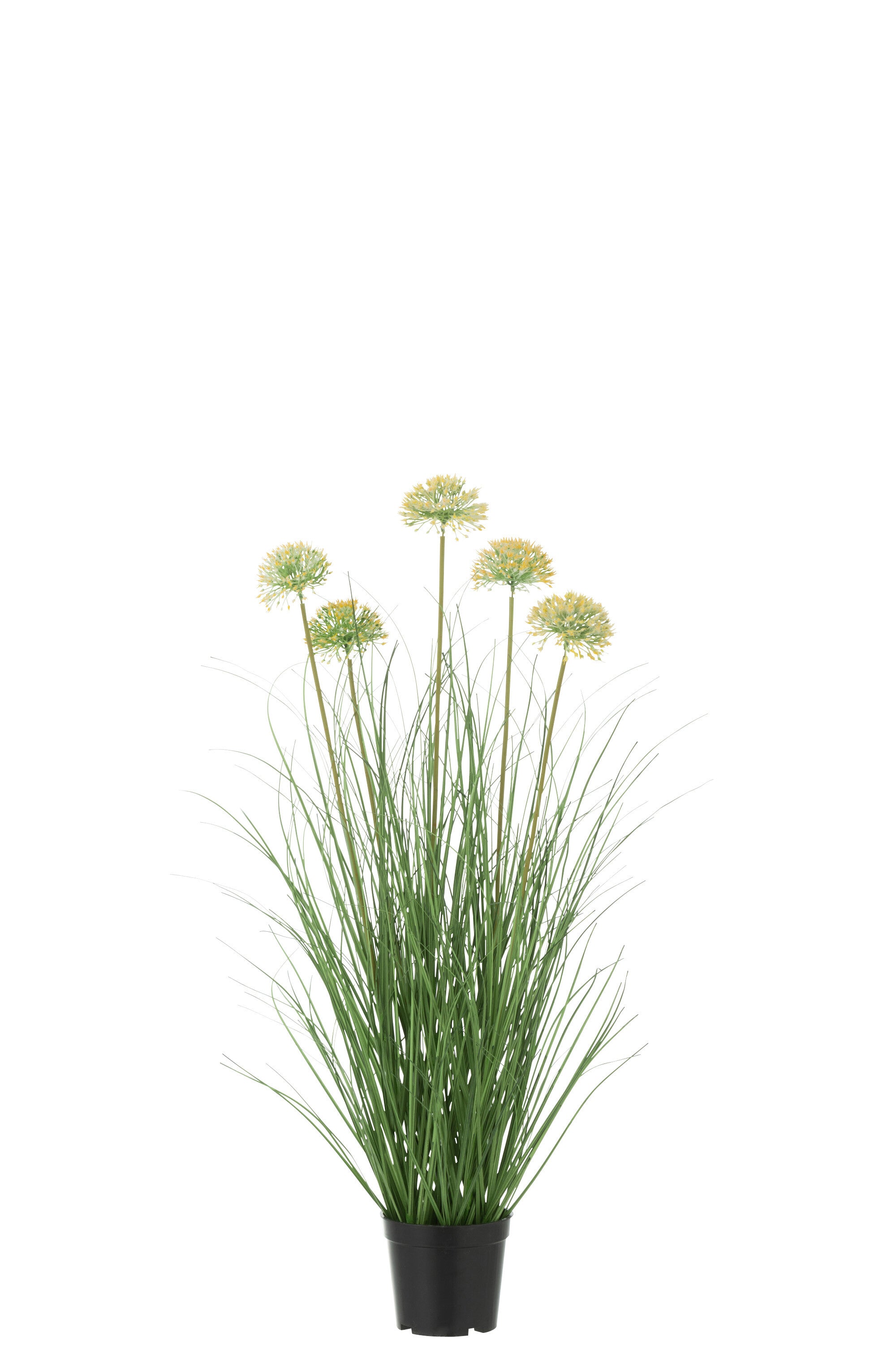 J-Line Gras Met Bloem In Pot Pvc Groen