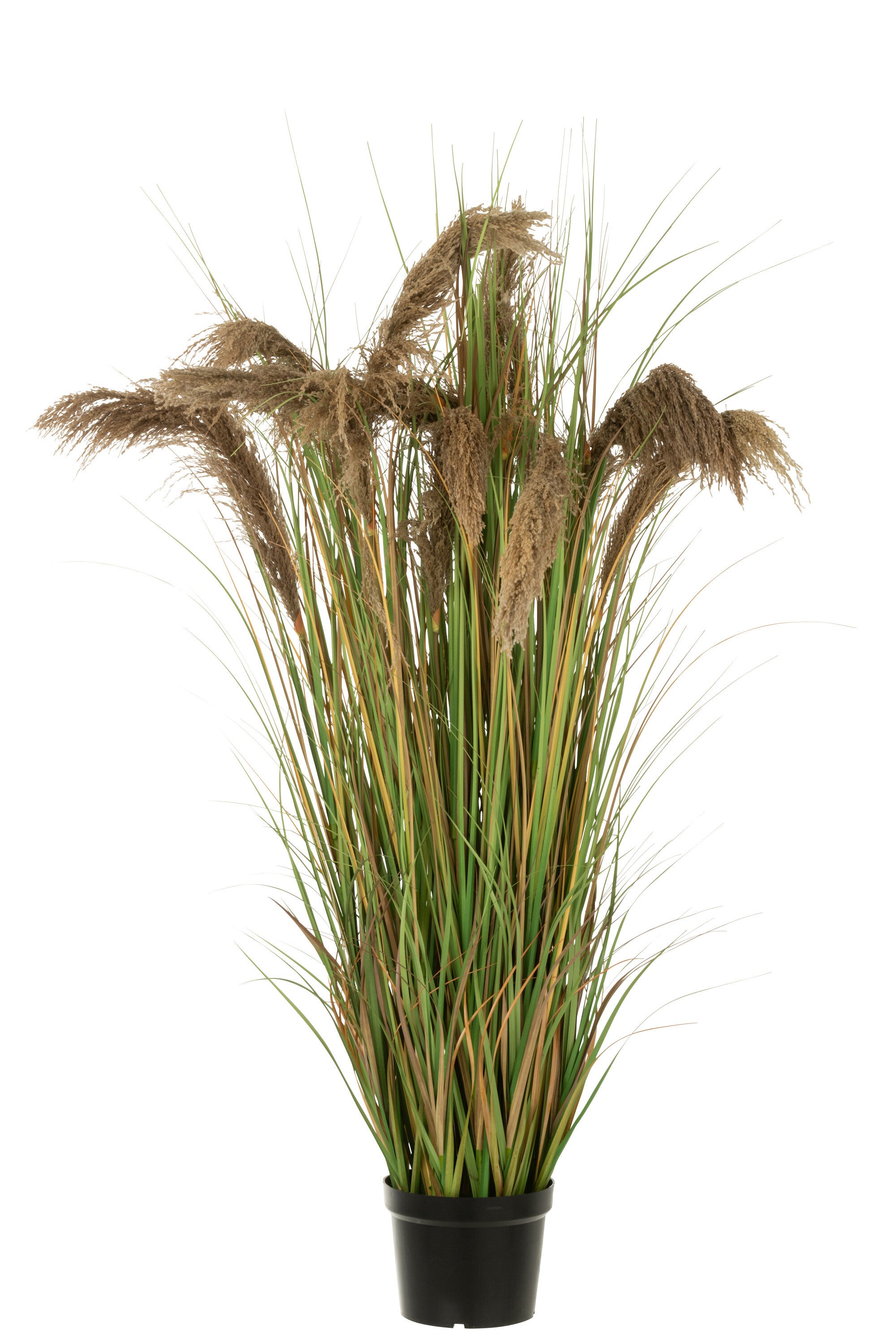 Pampasgras 13 Hoofden In Pot Pvc Groen/Beige Groot