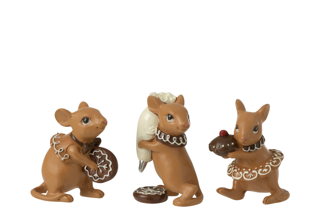 Muizen Kookhars Bruin Assortiment Van 3