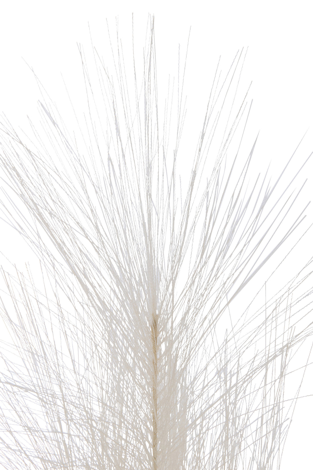 J-Line Tak Plumeau Plastiek Beige Small