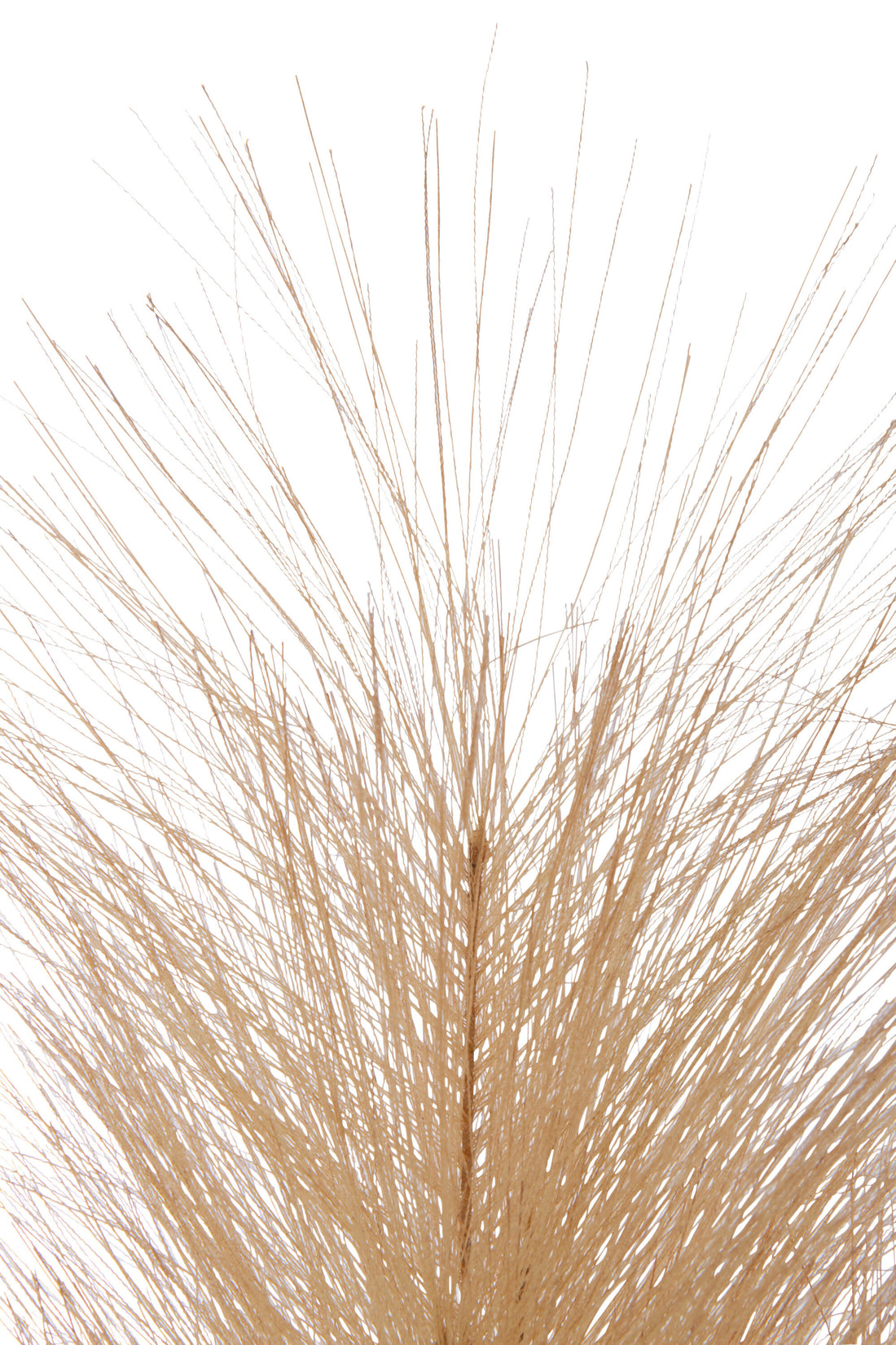 J-Line Tak Plumeau Plastiek Oranje Roest Small