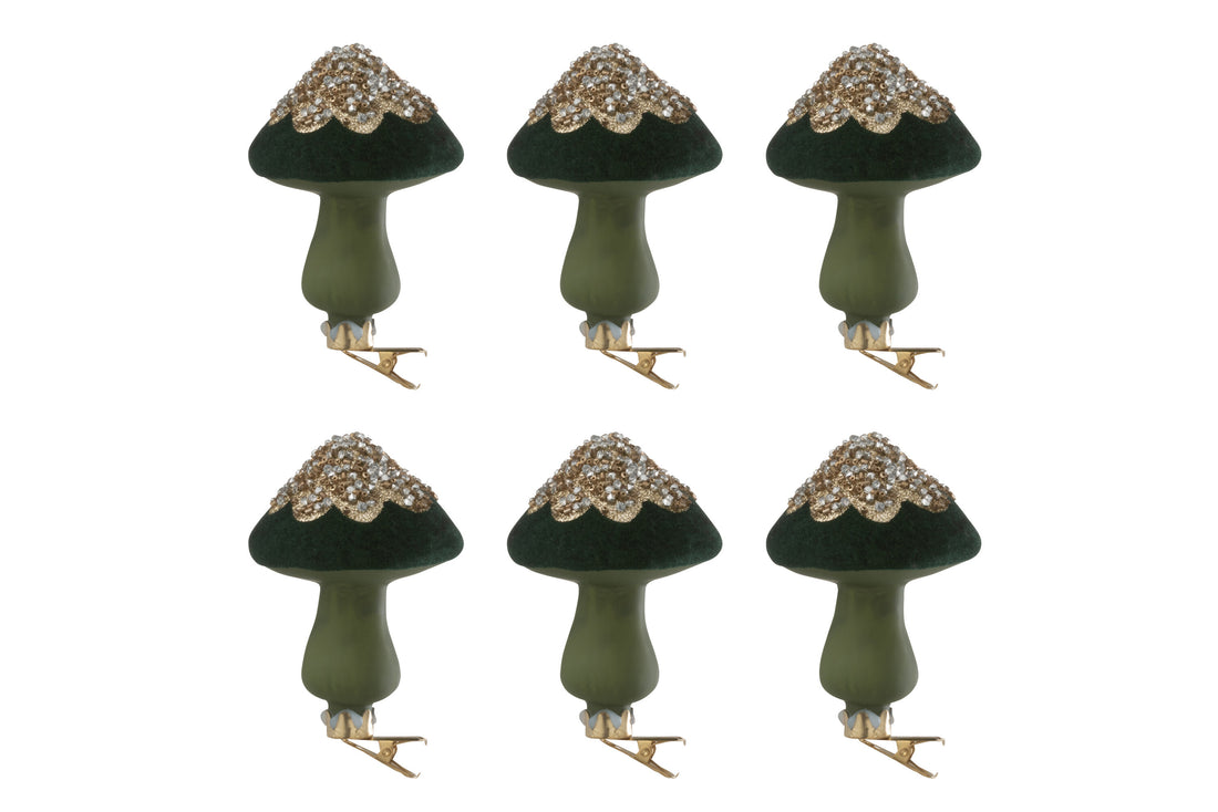 Doos van 6 champignons + clip pailletten fluweel groen