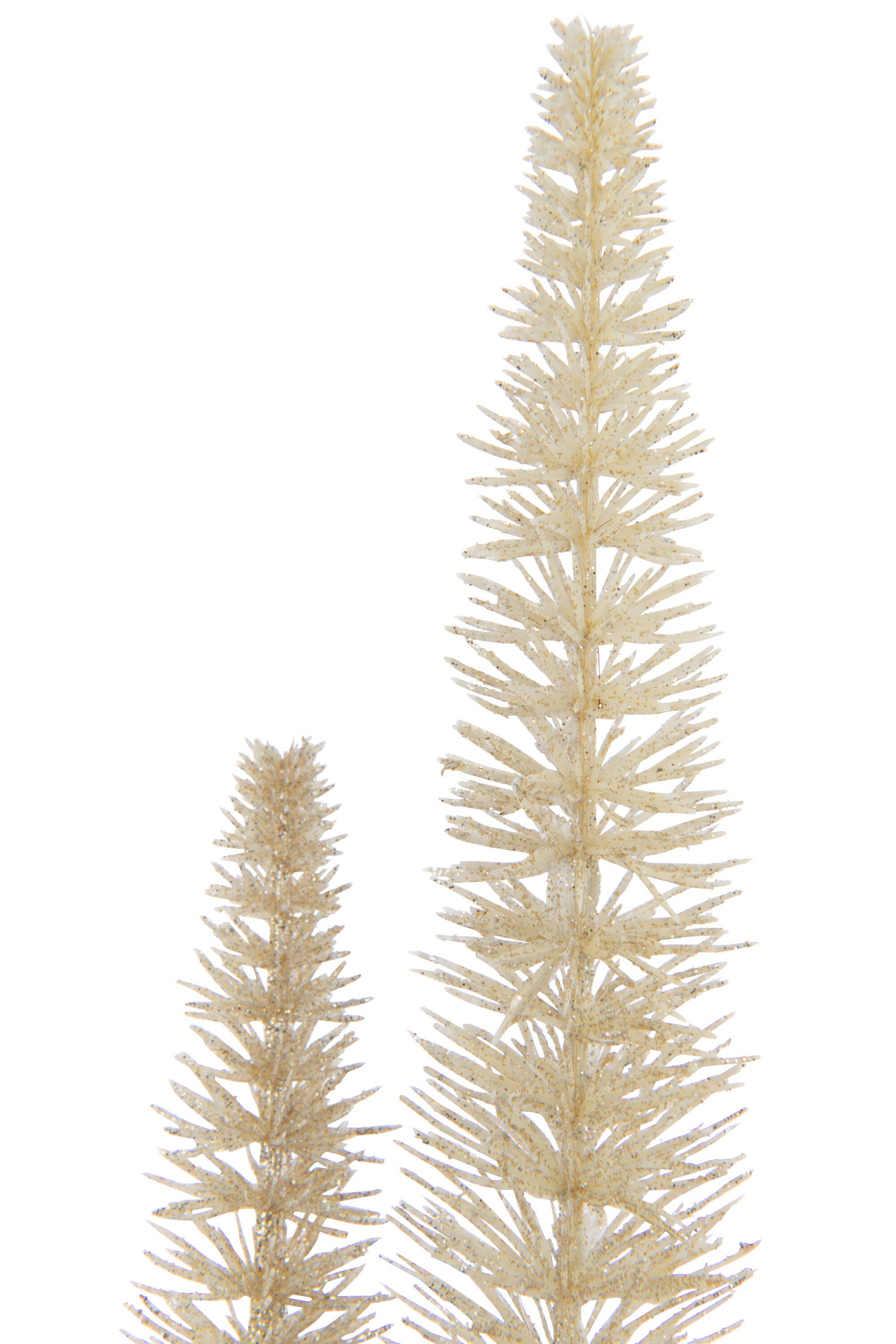 J-Line Tak Banksia 3 Delig Plastiek Crème/Goud