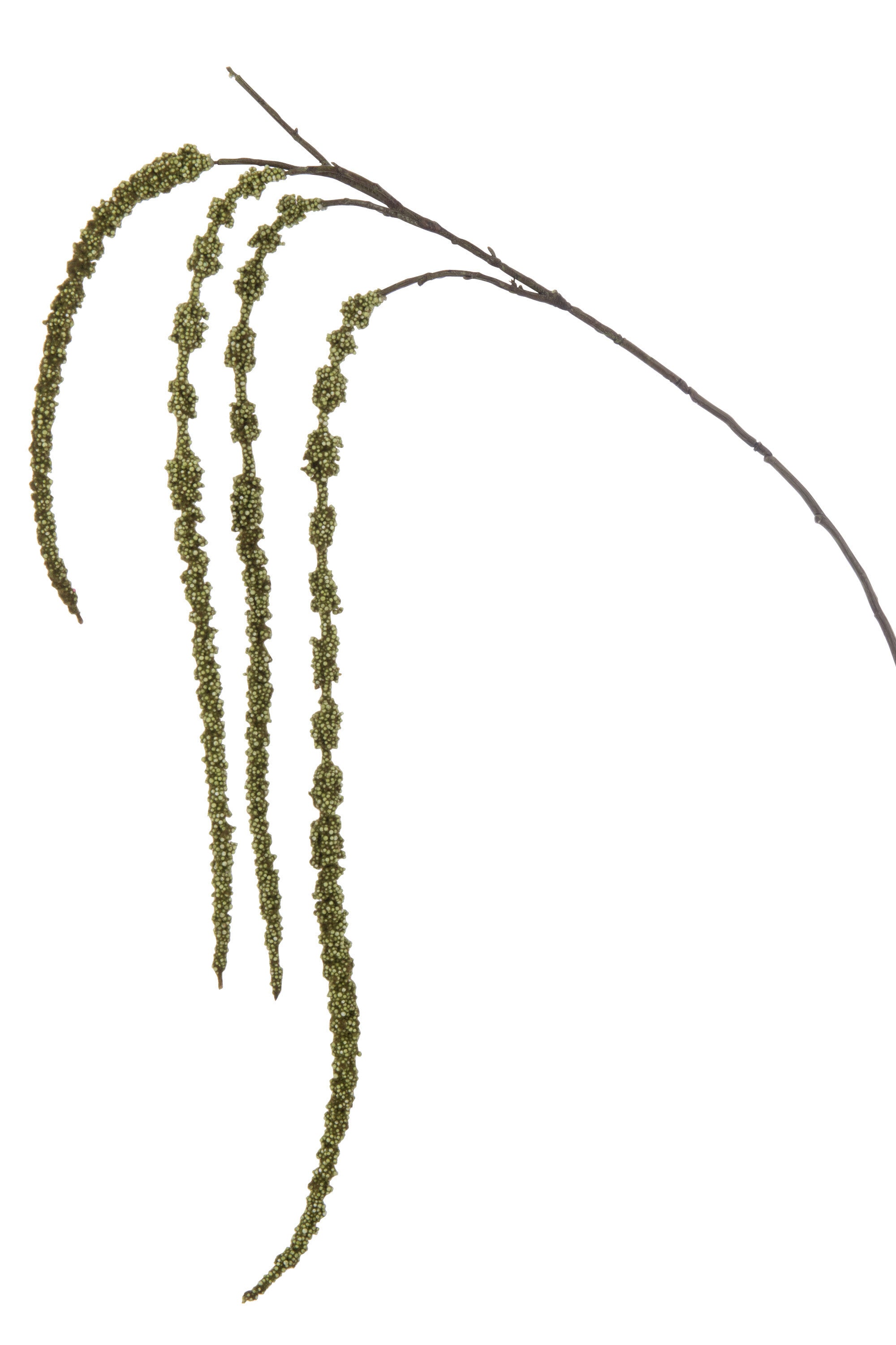 J-Line Tak Amaranthus Kunststof Donker Groen
