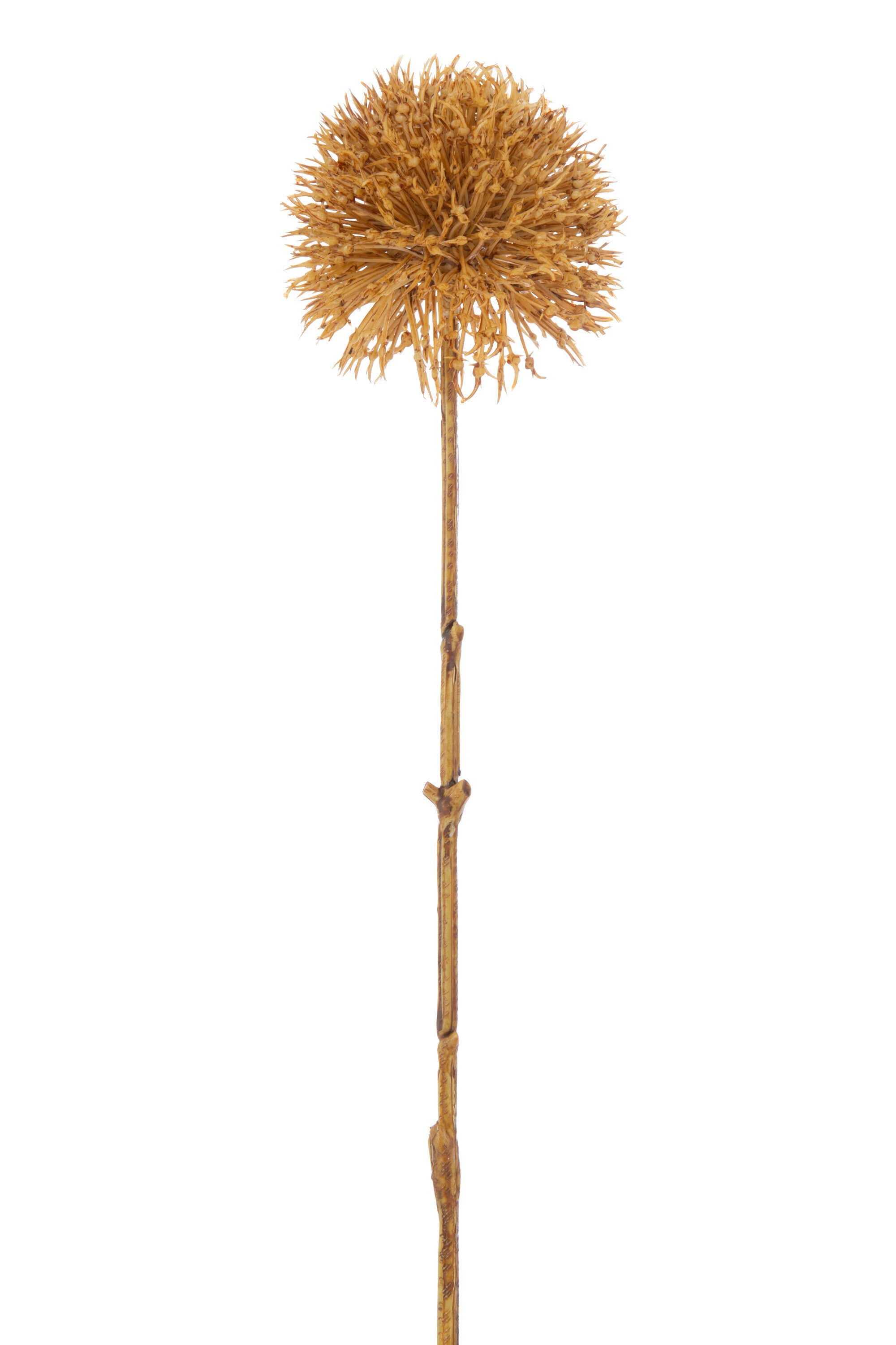 J-Line Allium 3 Bloemen Plastiek Oker Large