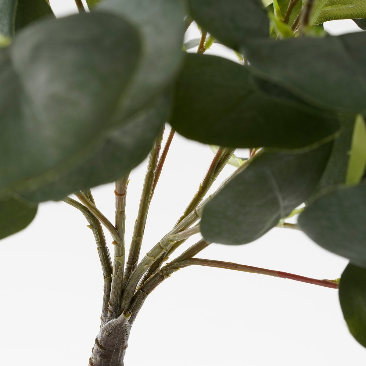 Eucalyptus Kunstplant in Bloempot - H75 x Ø15 cm - GroenÂ