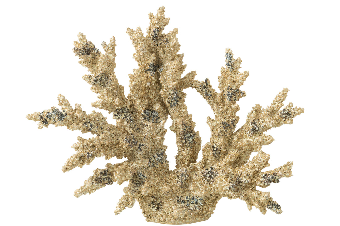 Koraal Polyresin Bruin/Goud Extra L