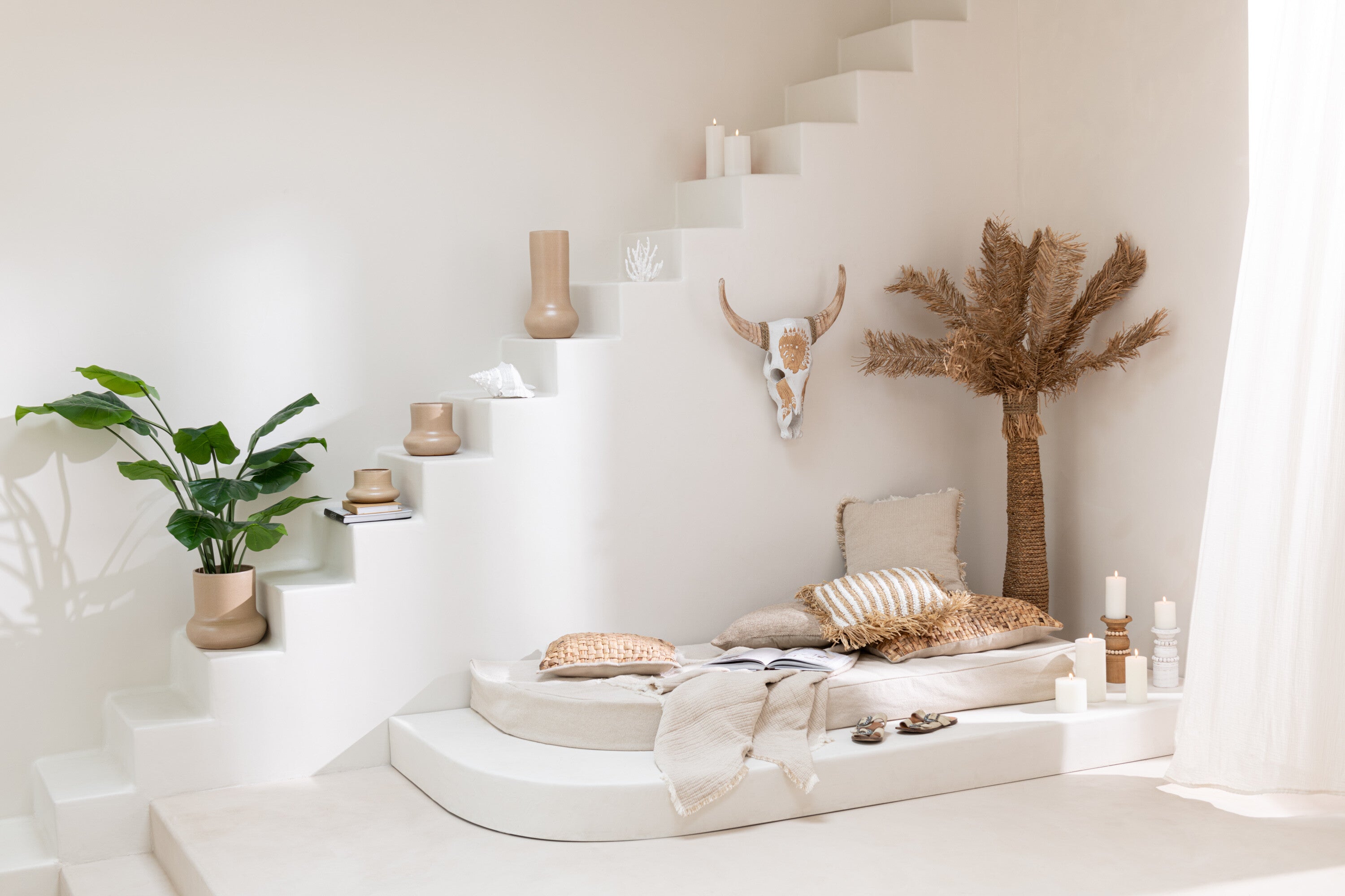 Schedel Koe Albasia Hout Wit