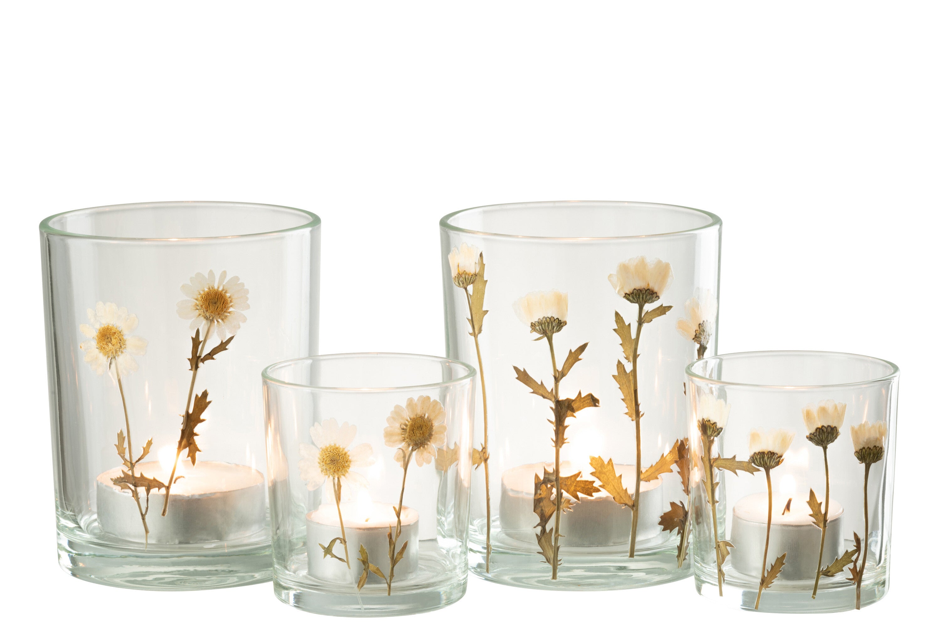 Orkaan Bloem Madeliefje Glas Mix Assortiment Van 2