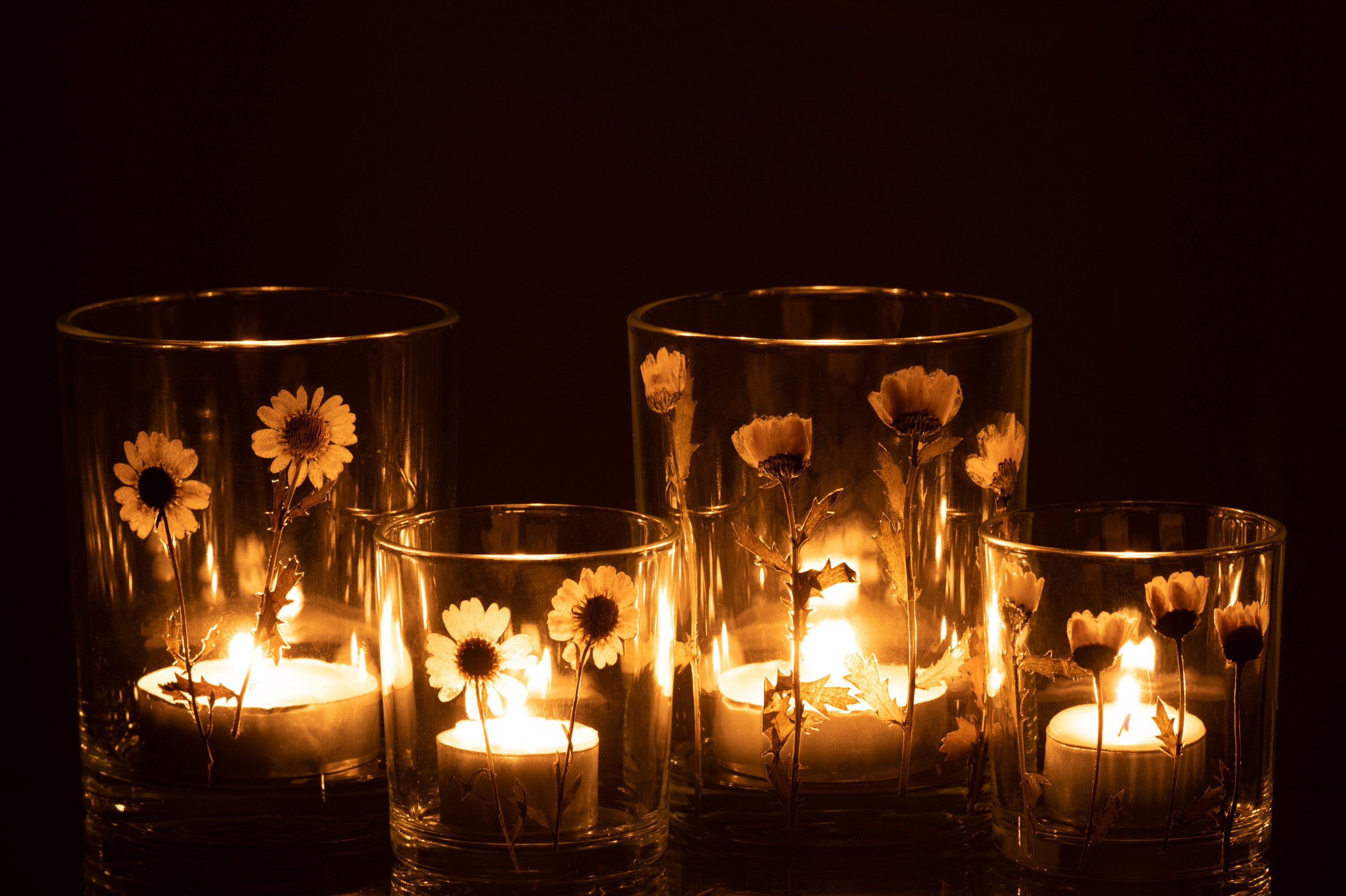 Orkaan Bloem Madeliefje Glas Mix Assortiment Van 2