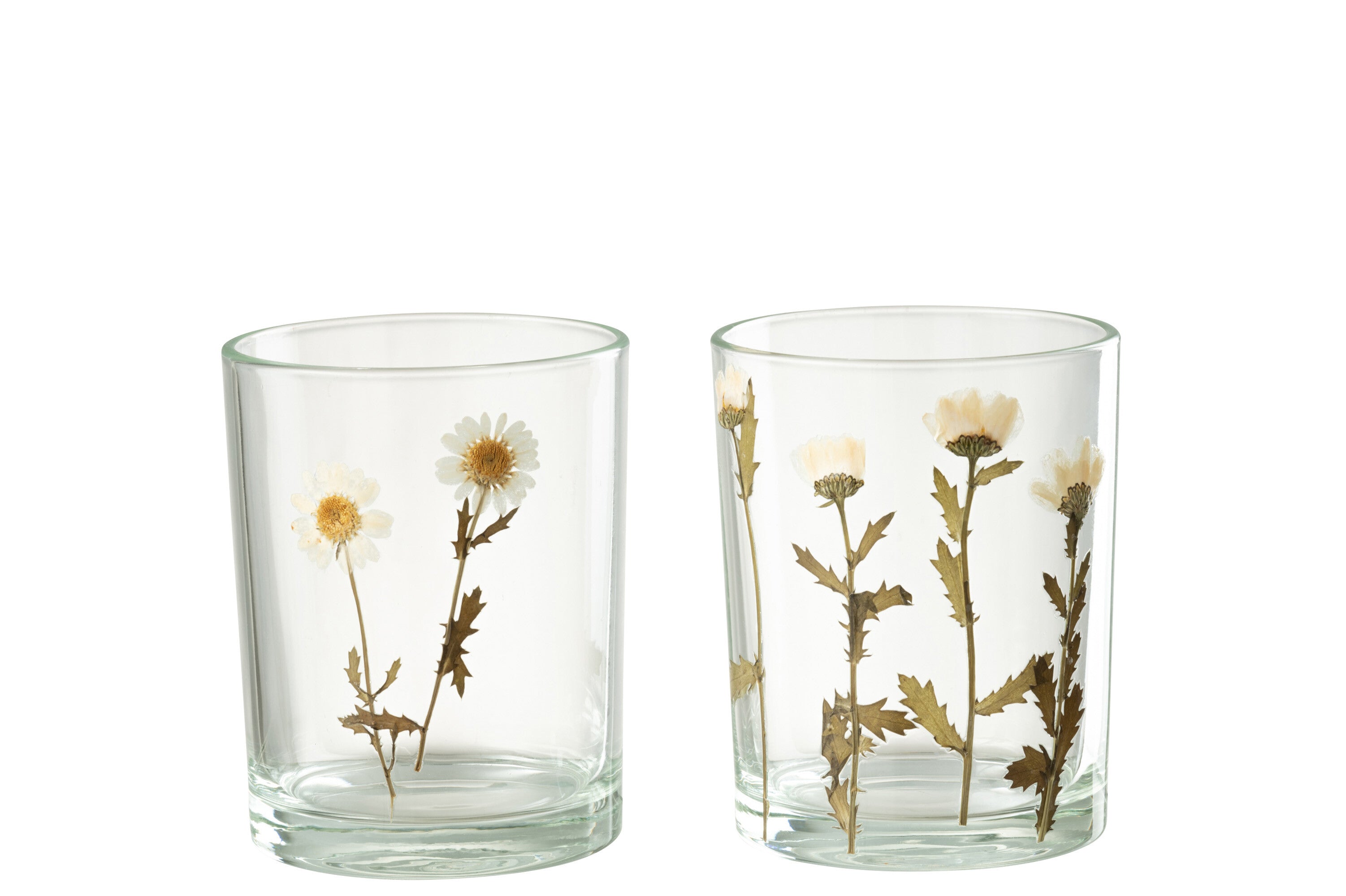 Orkaan Bloem Madeliefje Glas Mix Assortiment Van 2