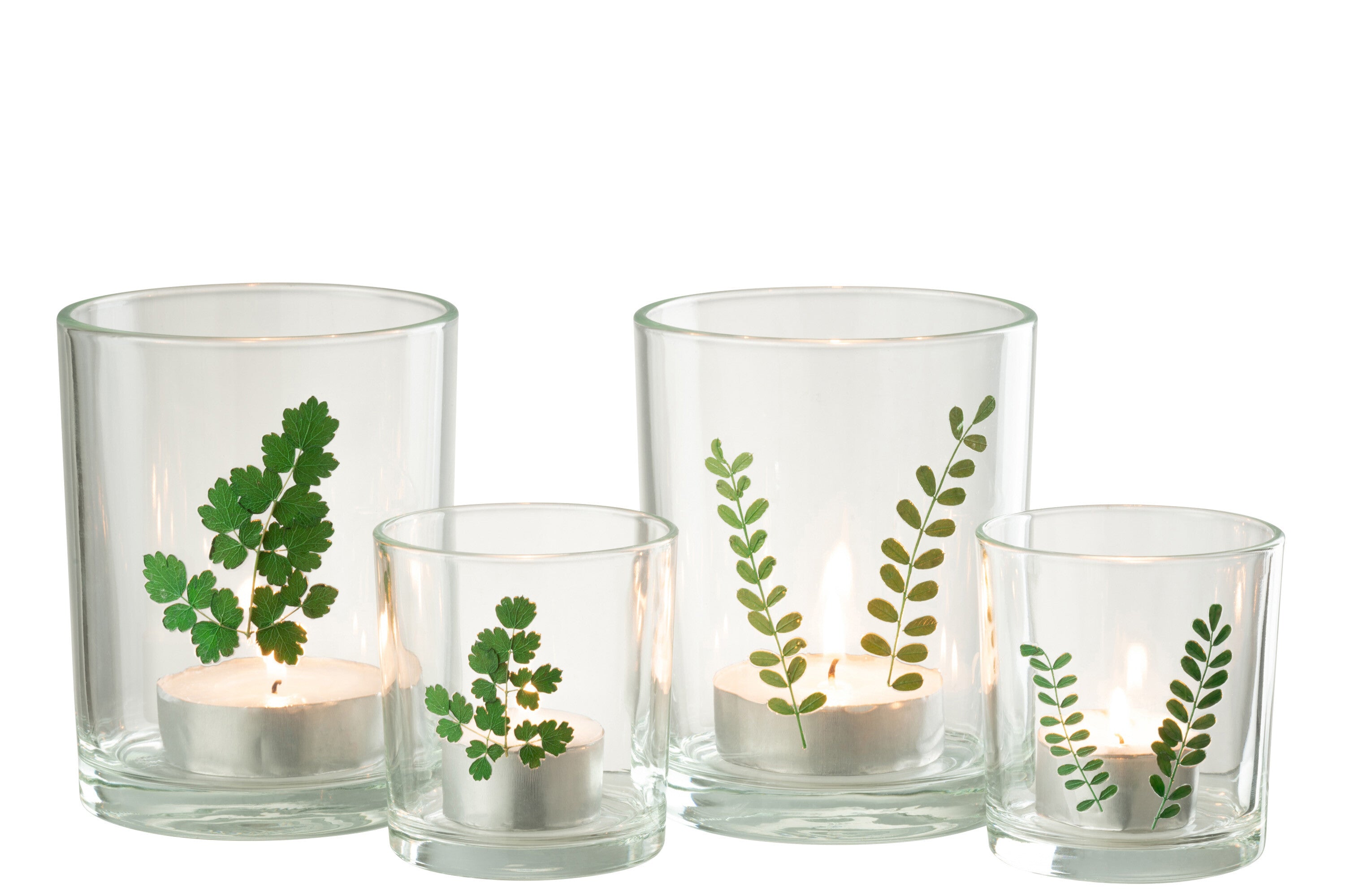 Orkaanbladglas Groen/Transparant Assortiment Van 2