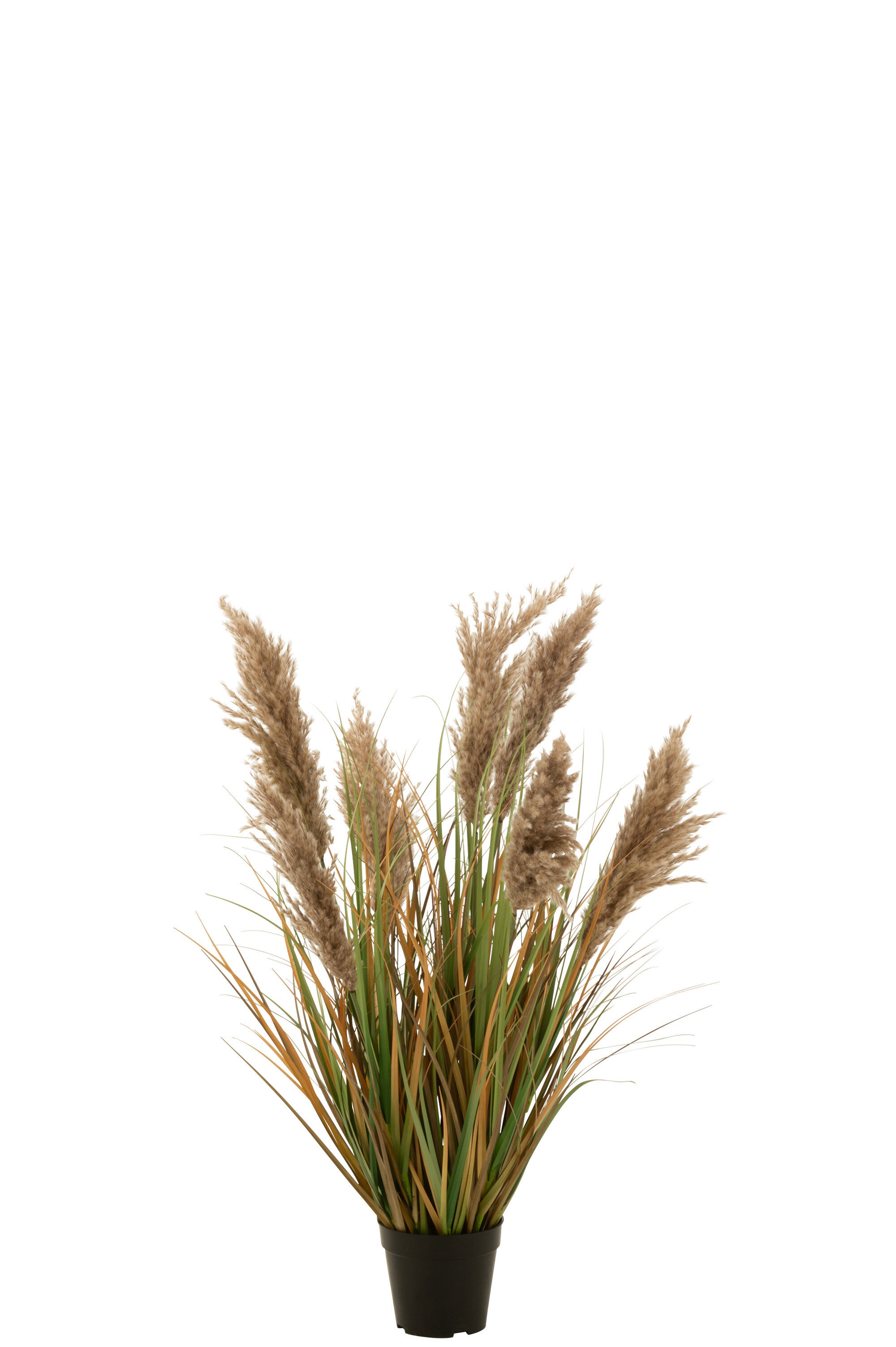J-Line Pampas Gras 7 Koppen In Pot Pvc Groen/Beige Small