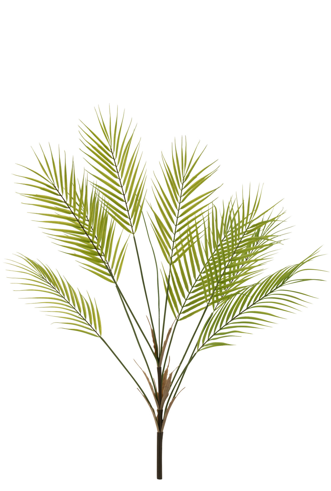 J-Line varen Bundel 9 Bladeren - kunststof - groen