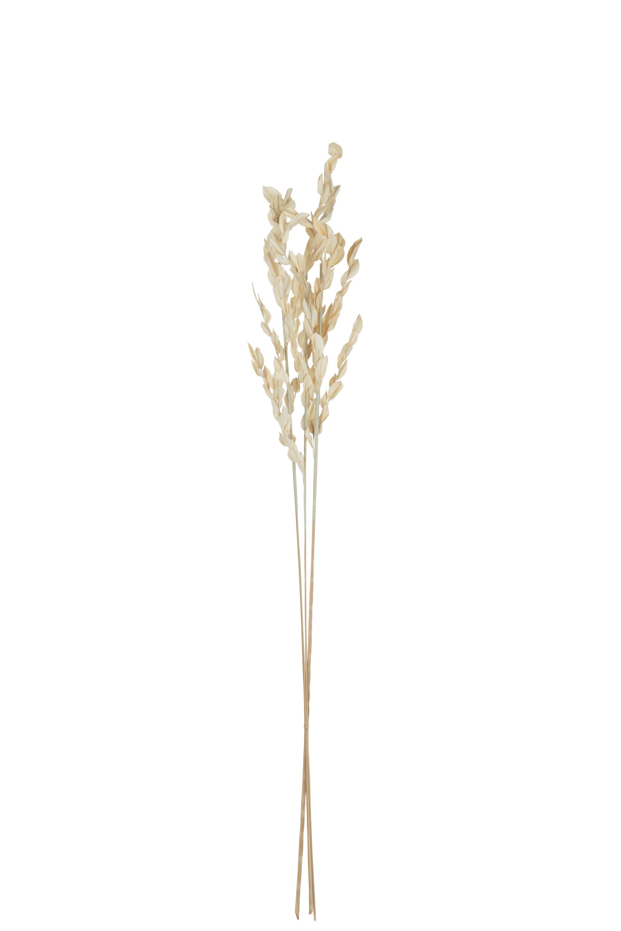 J-Line Gedroogde Bladeren Naturel Small