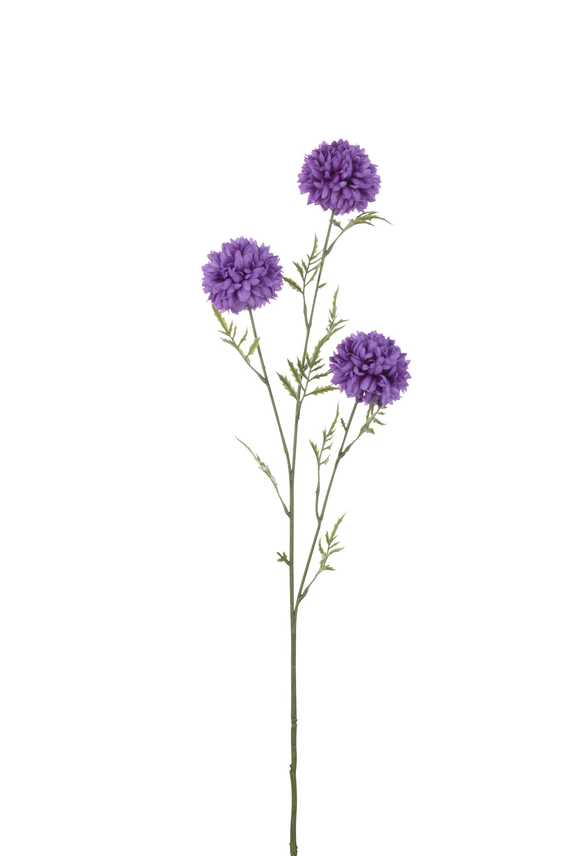 J-Line Ball Mum Sproeier Kunststof Paars