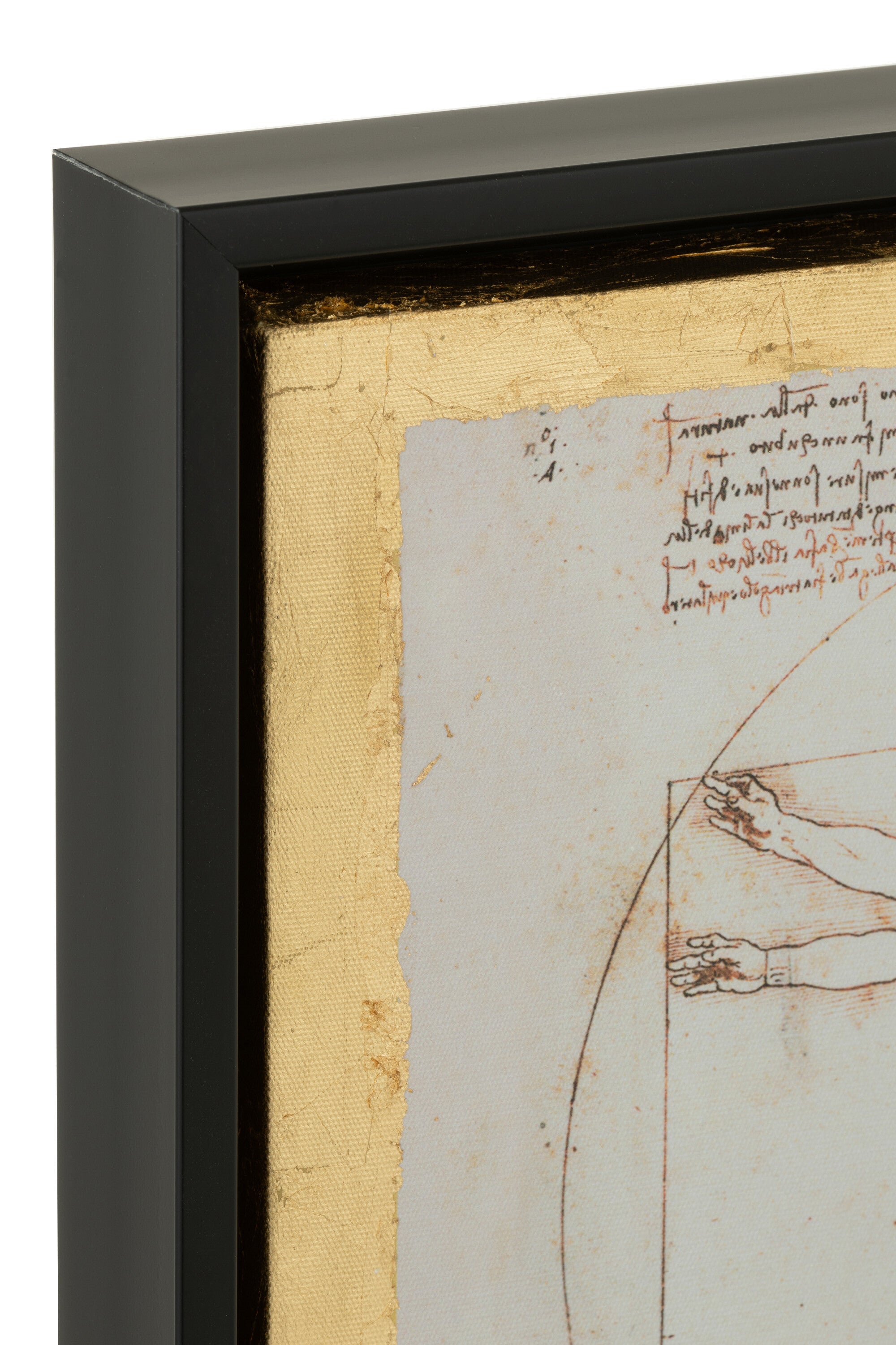 De Chartisten Impressie Geïnspireerd Door de Vitruviusman