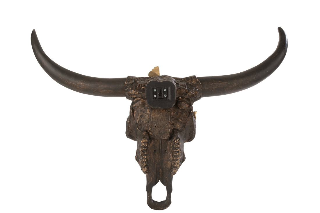 Schedel Os Vlinder Hars Bruin/Goud Groot