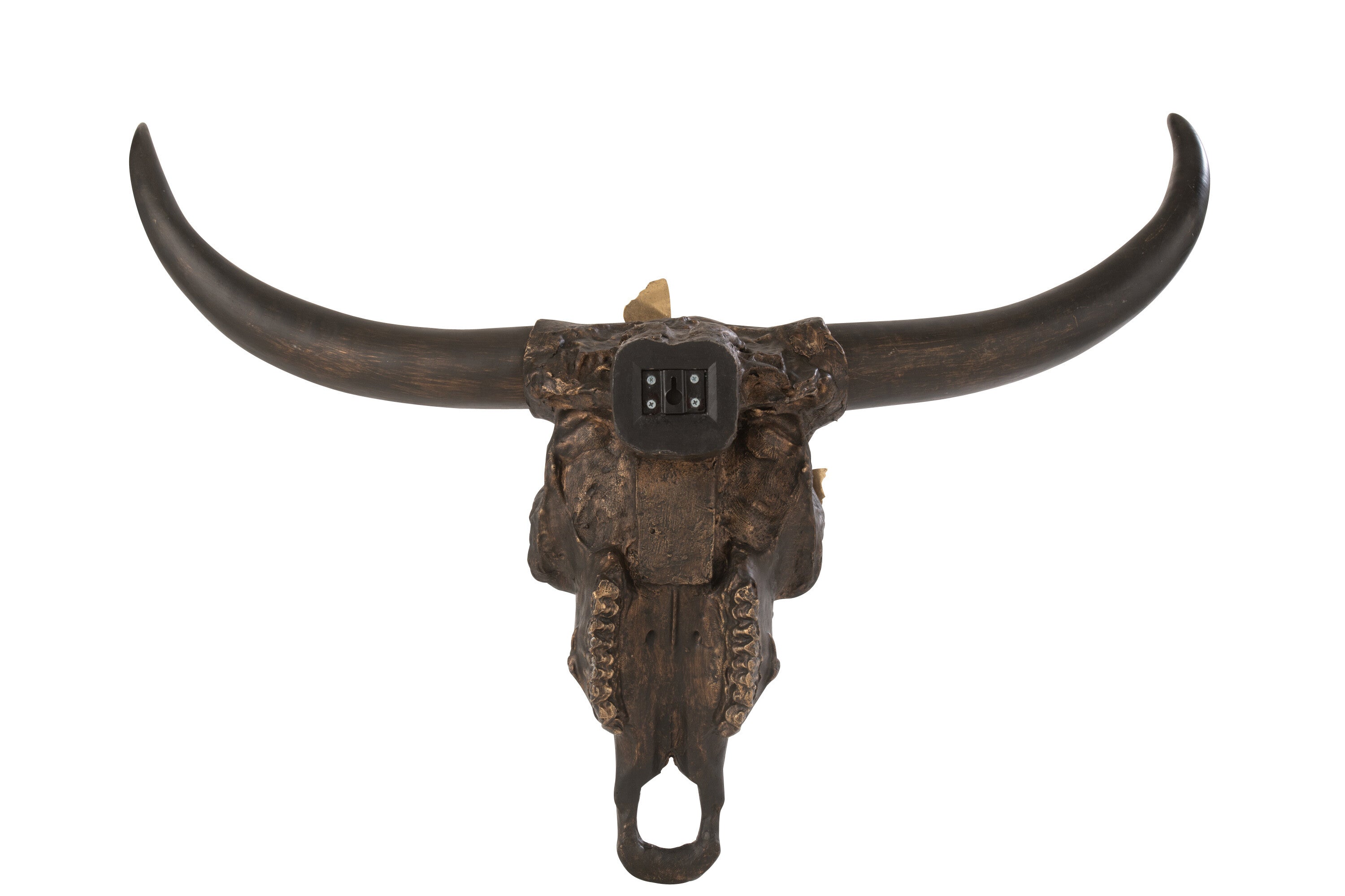 Schedel Os Vlinder Hars Bruin/Goud Groot