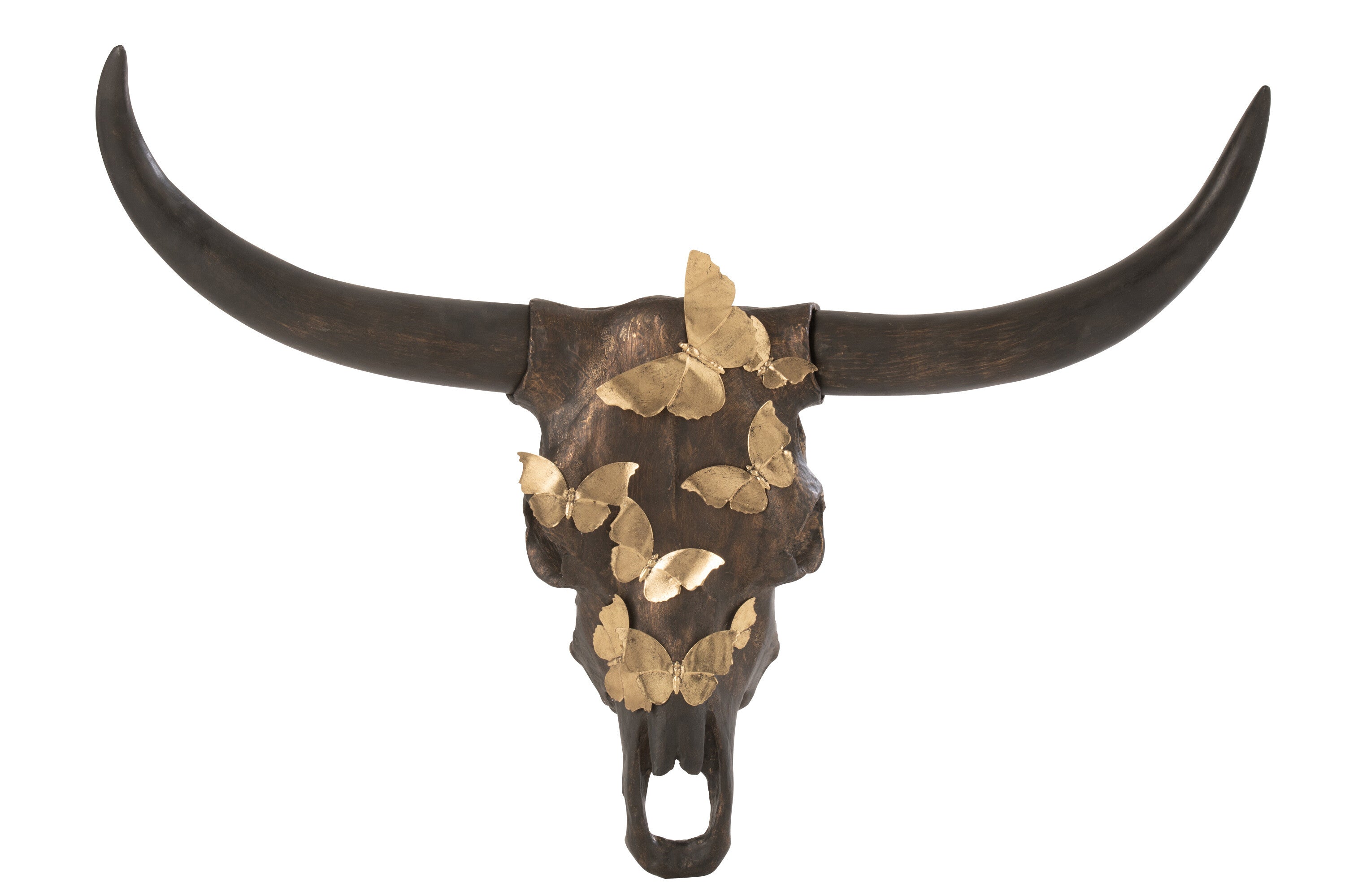 Schedel Os Vlinder Hars Bruin/Goud Groot