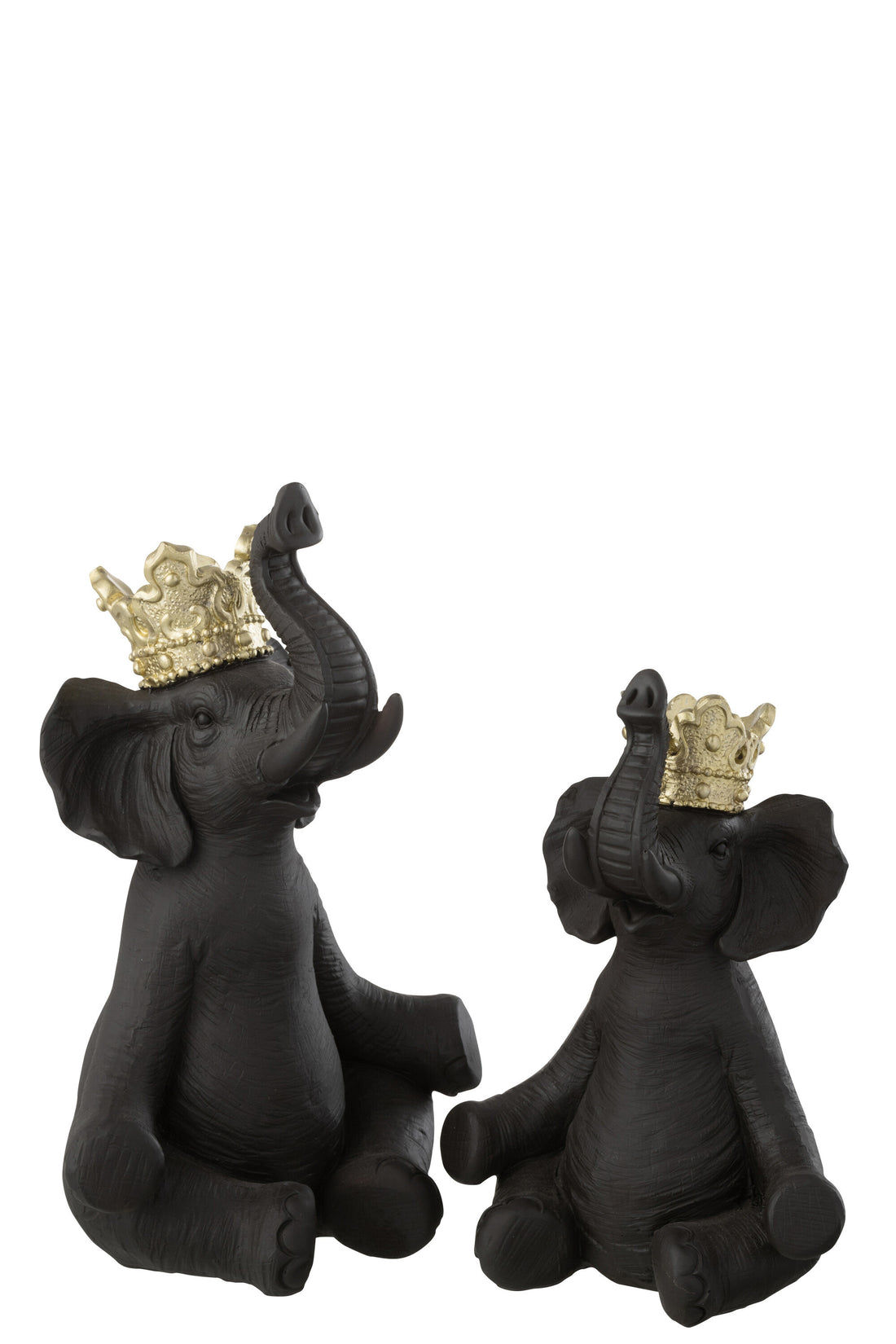 Olifantenkroon Hars Zwart/Goud Groot