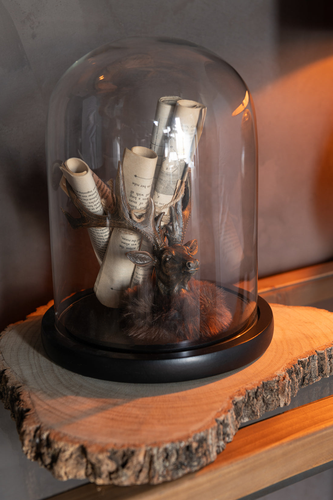 Hoofd Hertenbont Hars Bruin Klein