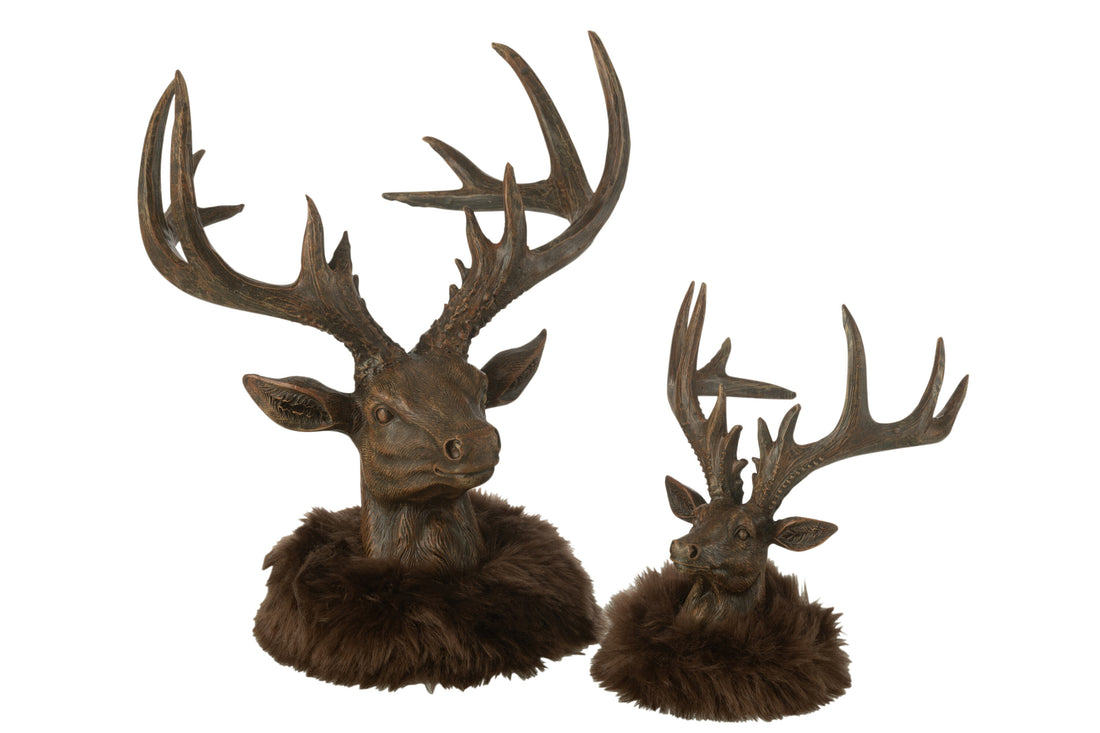 Hoofd Hertenbont Hars Bruin Groot