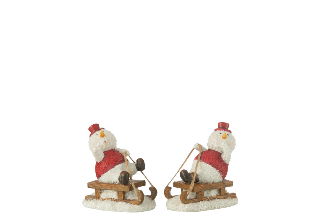 Sneeuwpop Slee Hars Mix Klein Assortiment Van 2