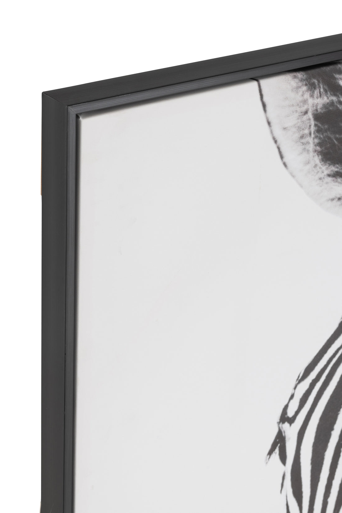 Wanddecoratie Zebra Canvas/Kunststof Zwart/Wit