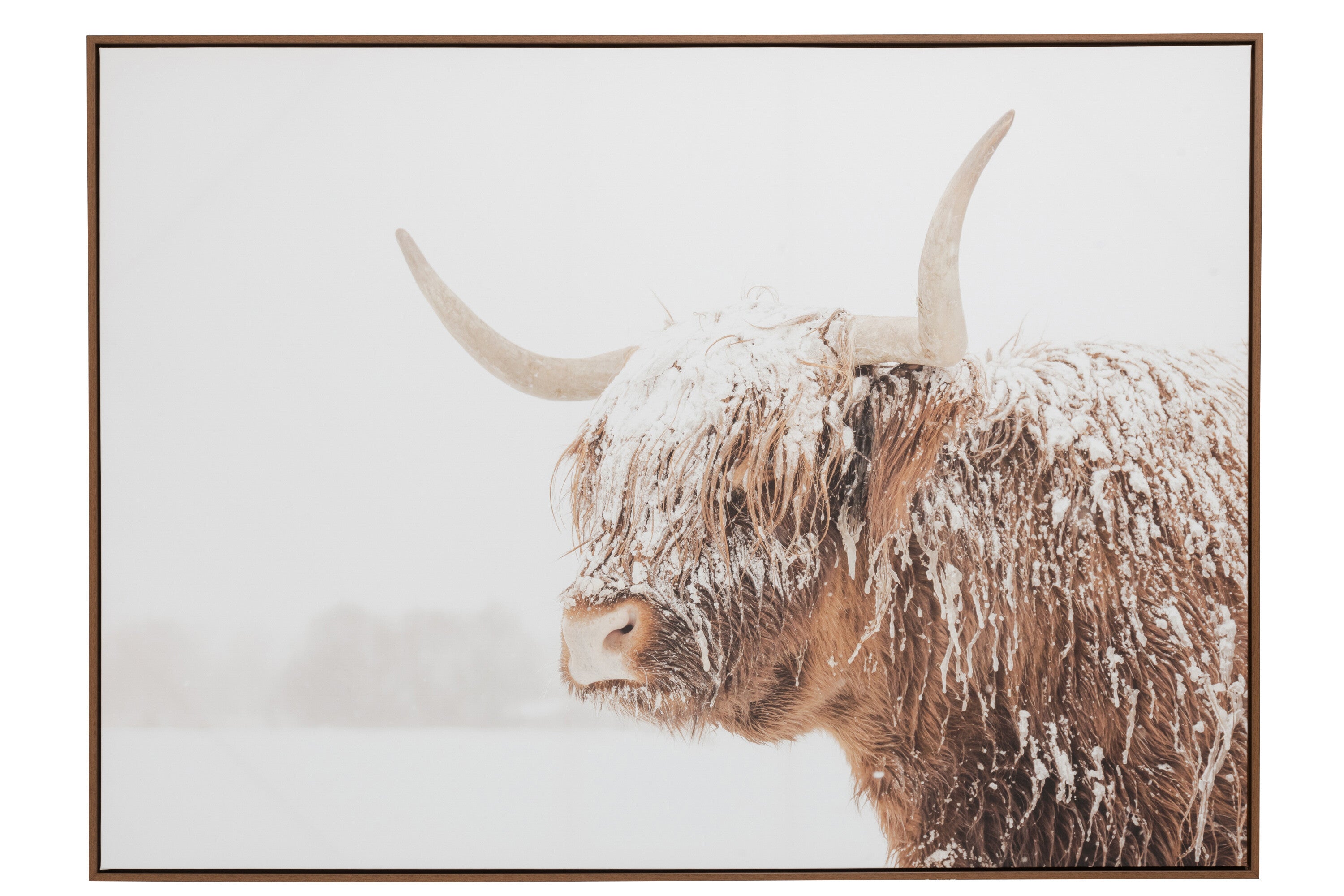 Wanddecoratie Yak Gezicht Grenenhout/Polyresin Bruin/Wit