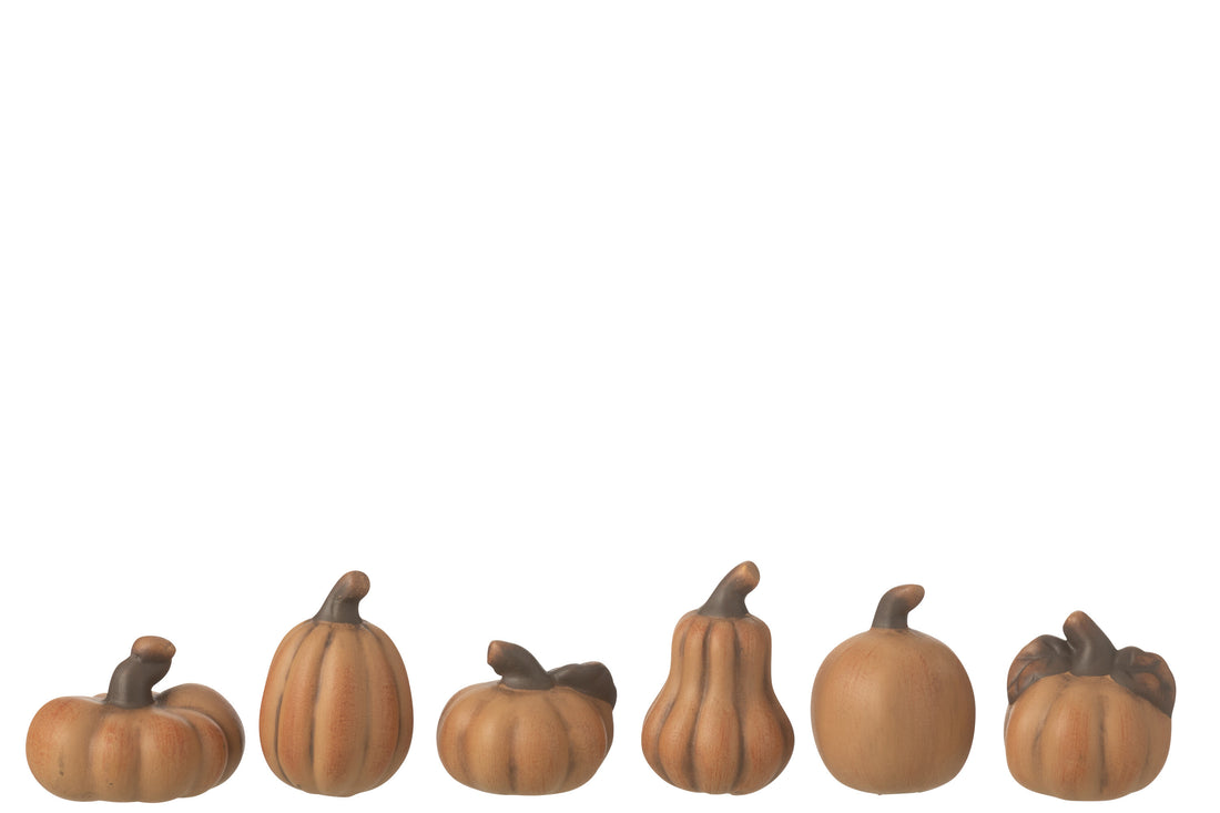 Doos van 6 pompoenen porselein bruin