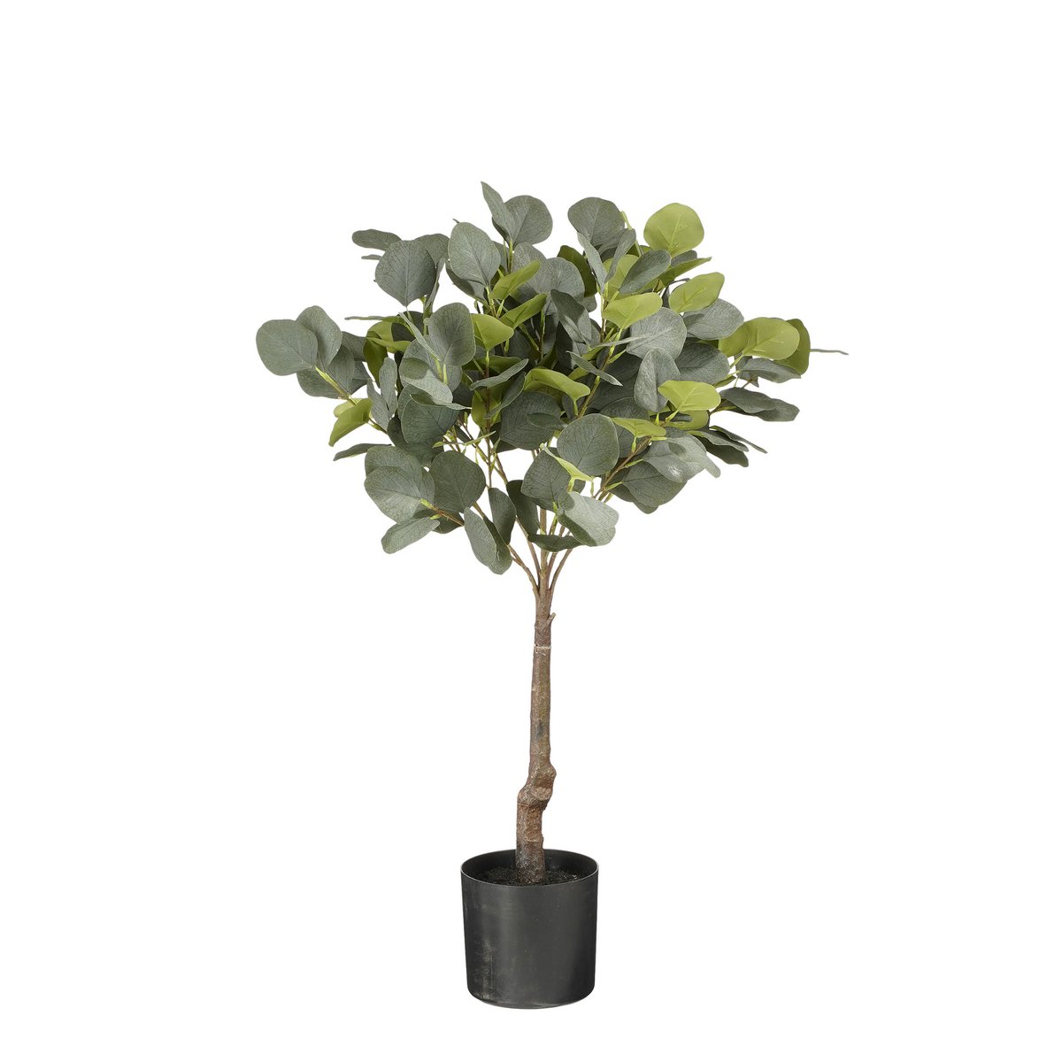 Eucalyptus Kunstplant in Bloempot - H75 x Ø15 cm - GroenÂ