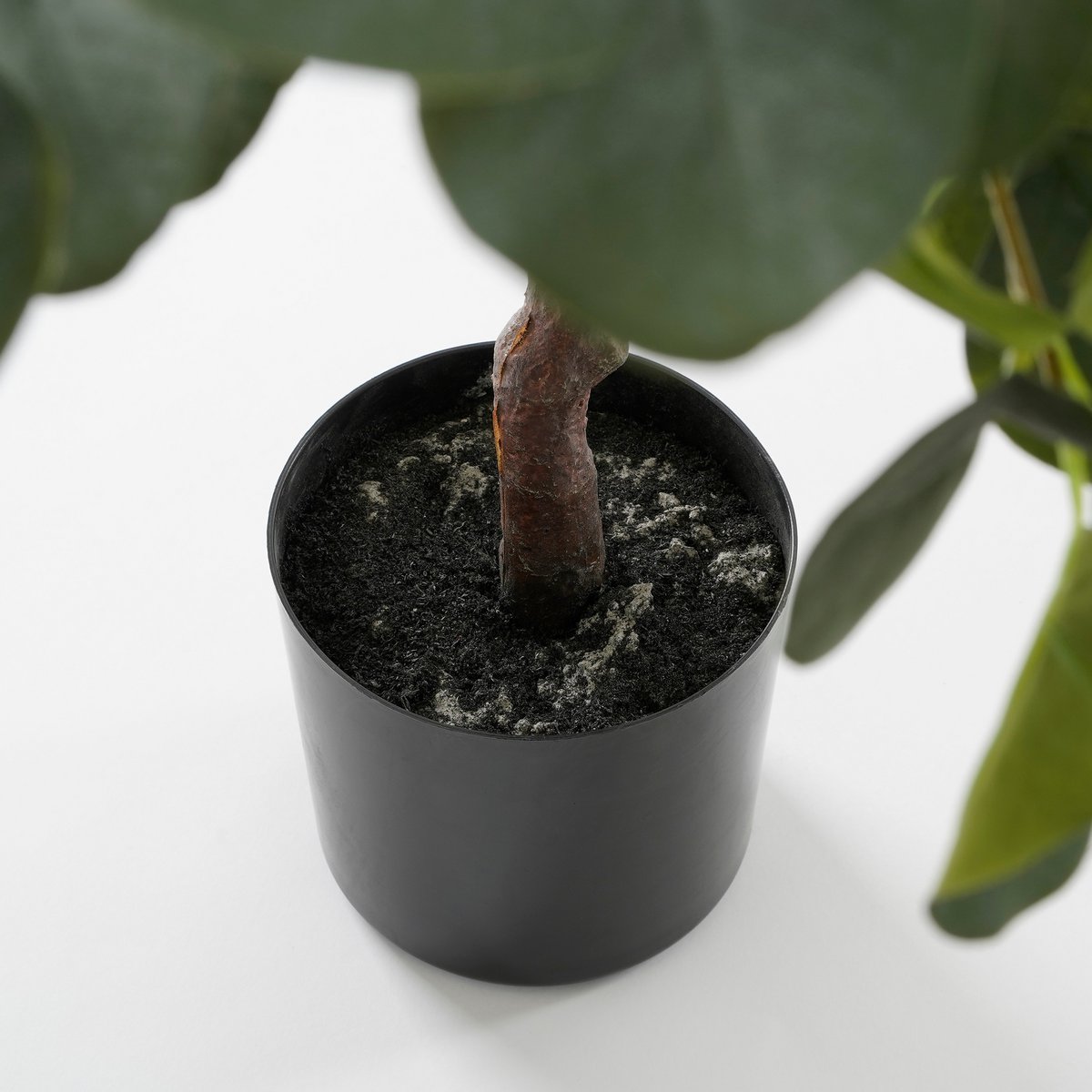 Eucalyptus Kunstplant in Bloempot - H75 x Ø15 cm - GroenÂ