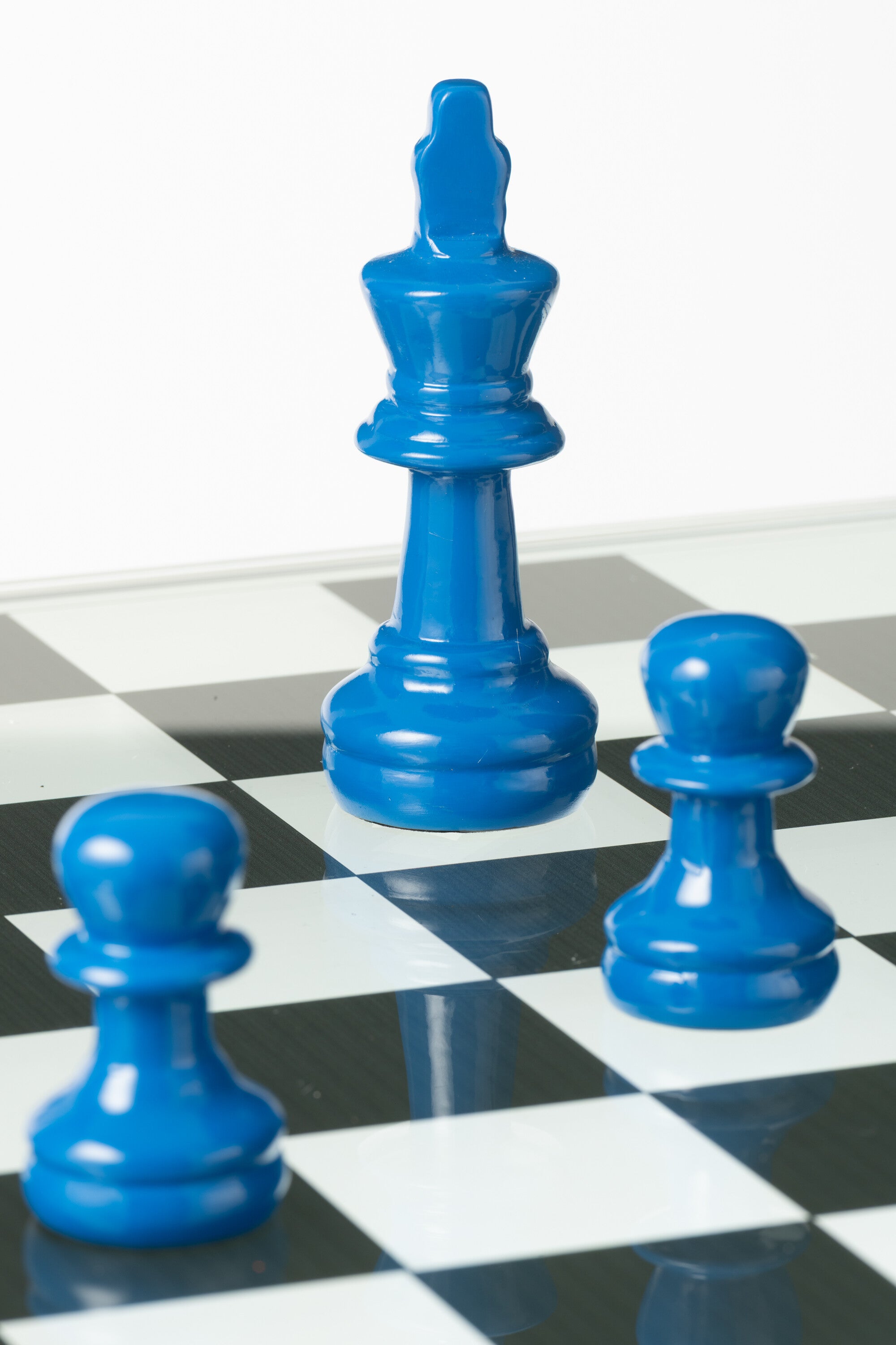 Schaakspel Dieren Hars Blauw/Oranje