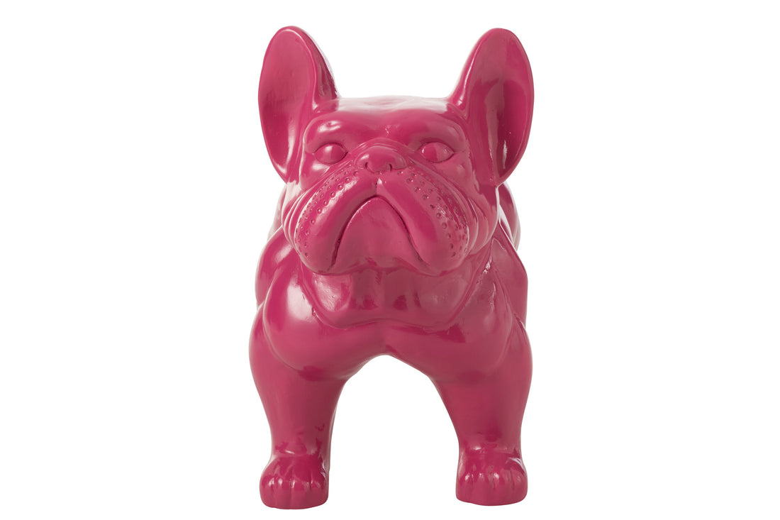 Bulldog Mgo Fuchsia
