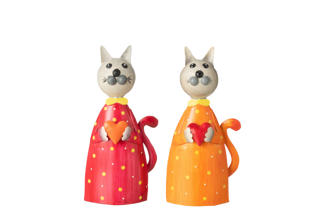 Kat die hart vasthoudt ijzeren mixassortiment van 2