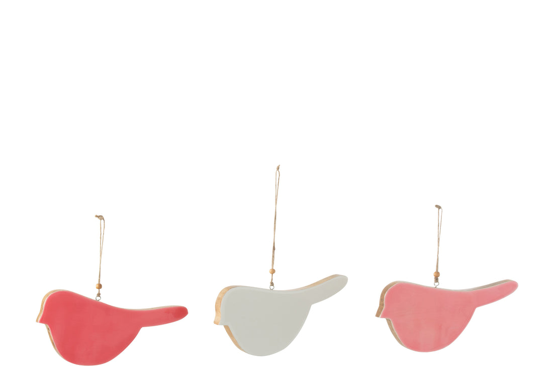 Hanger Vogel Mangohout Mix Medium Assortiment Van 3