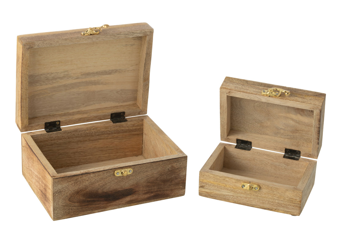 Set van 2 dozen Hart Mangohout Roze