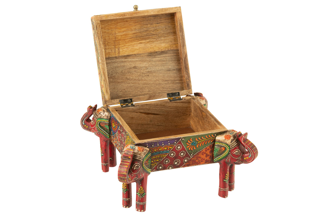 Doos Olifantenpoten Delhi Mangohout Mix