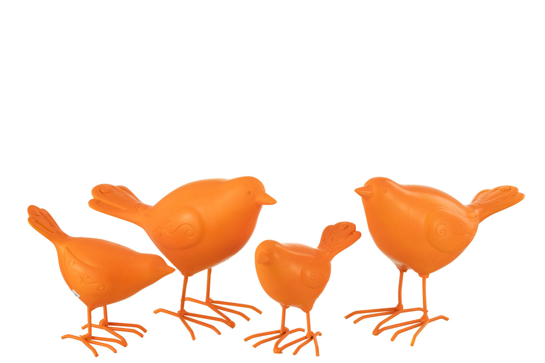 Vogel Polyresin Oranje Groot Assortiment Van 2
