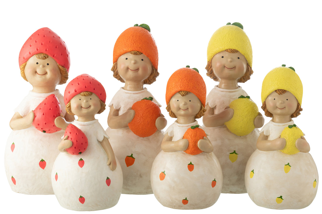 Kind Fruit Outdoor Mgo Groot Assortiment Van 3