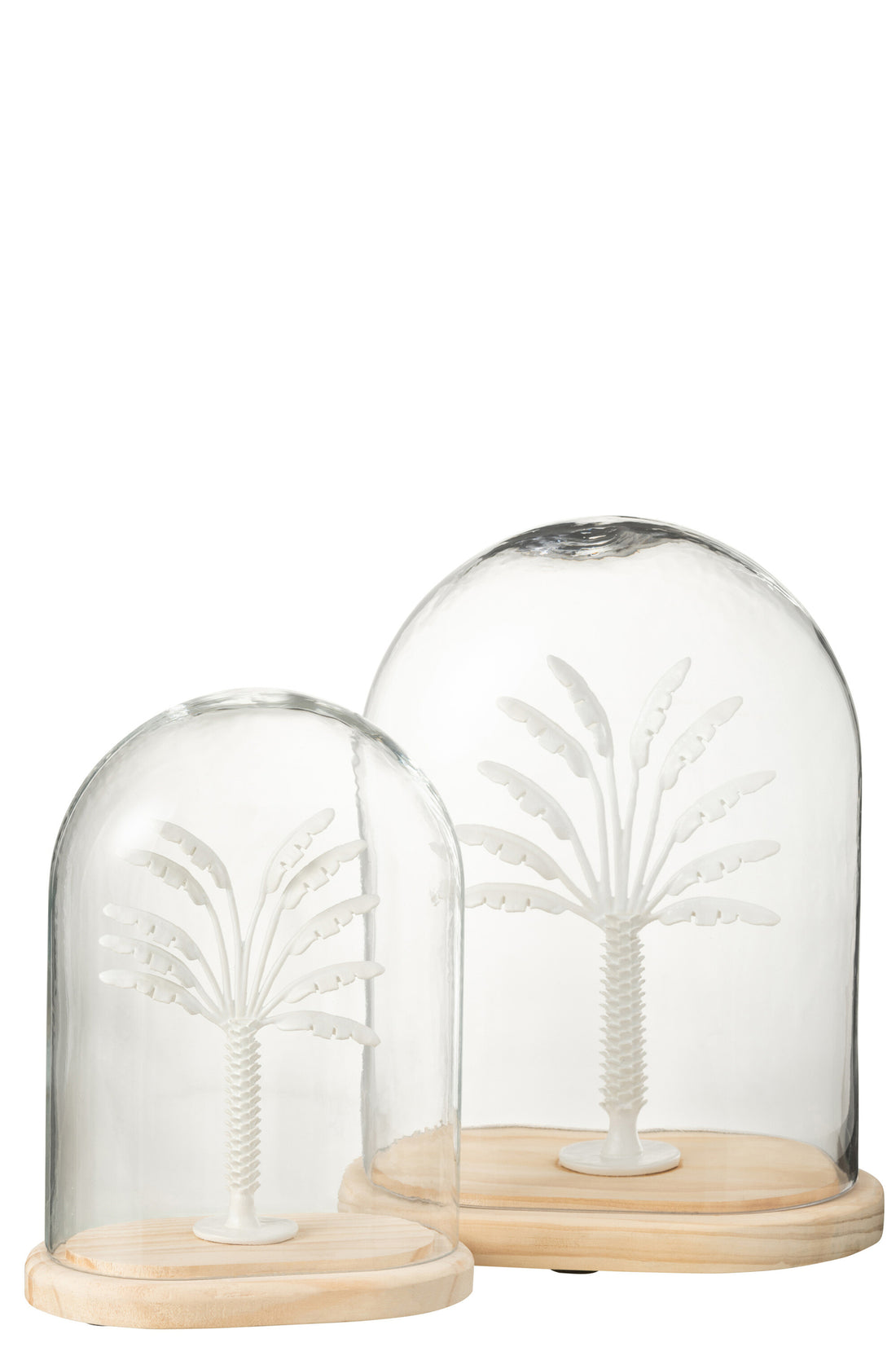 Bell Jar Palm Tree Glass/Metal White/Natural Large