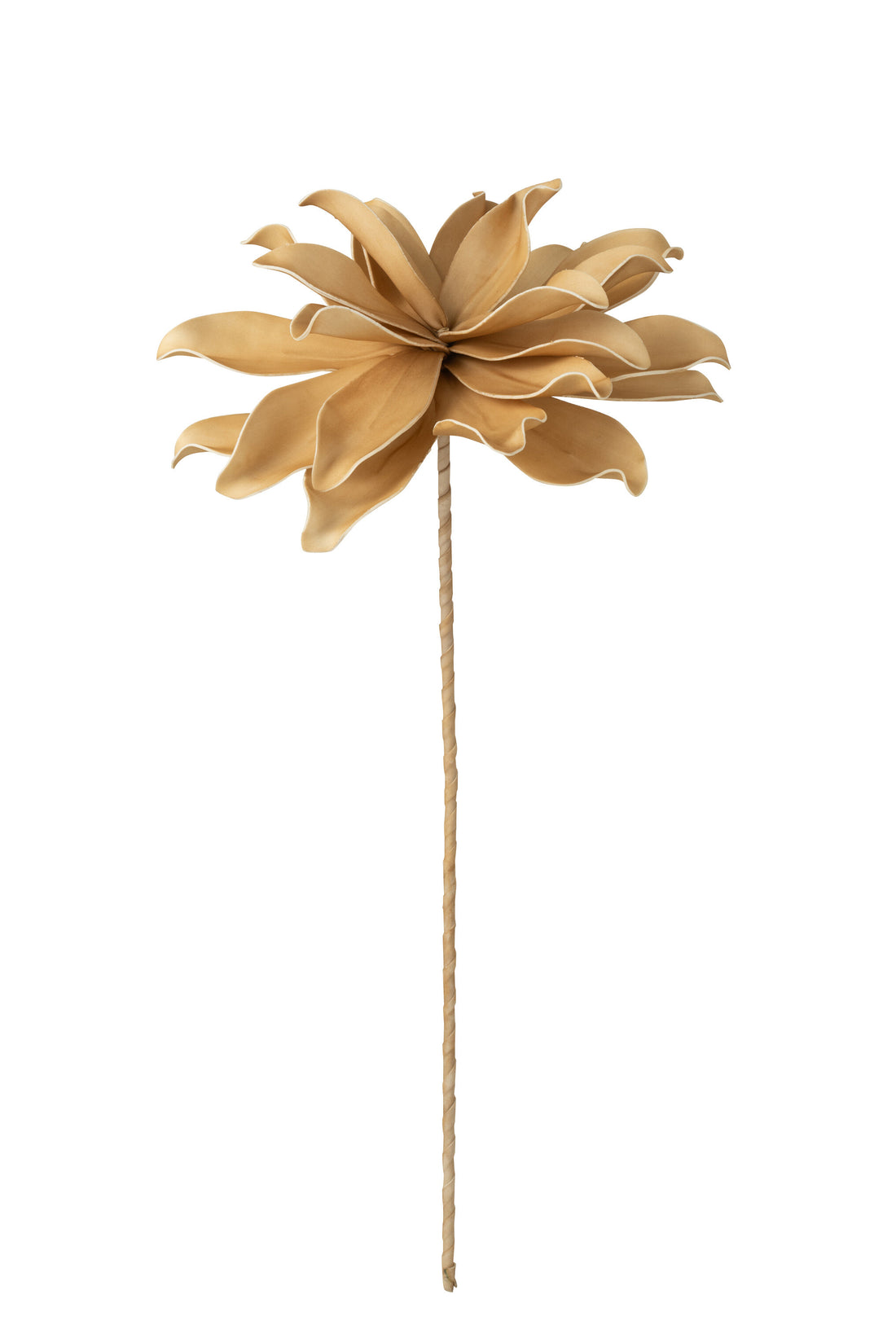 Bloementak 1 Hoofd Eva Mais