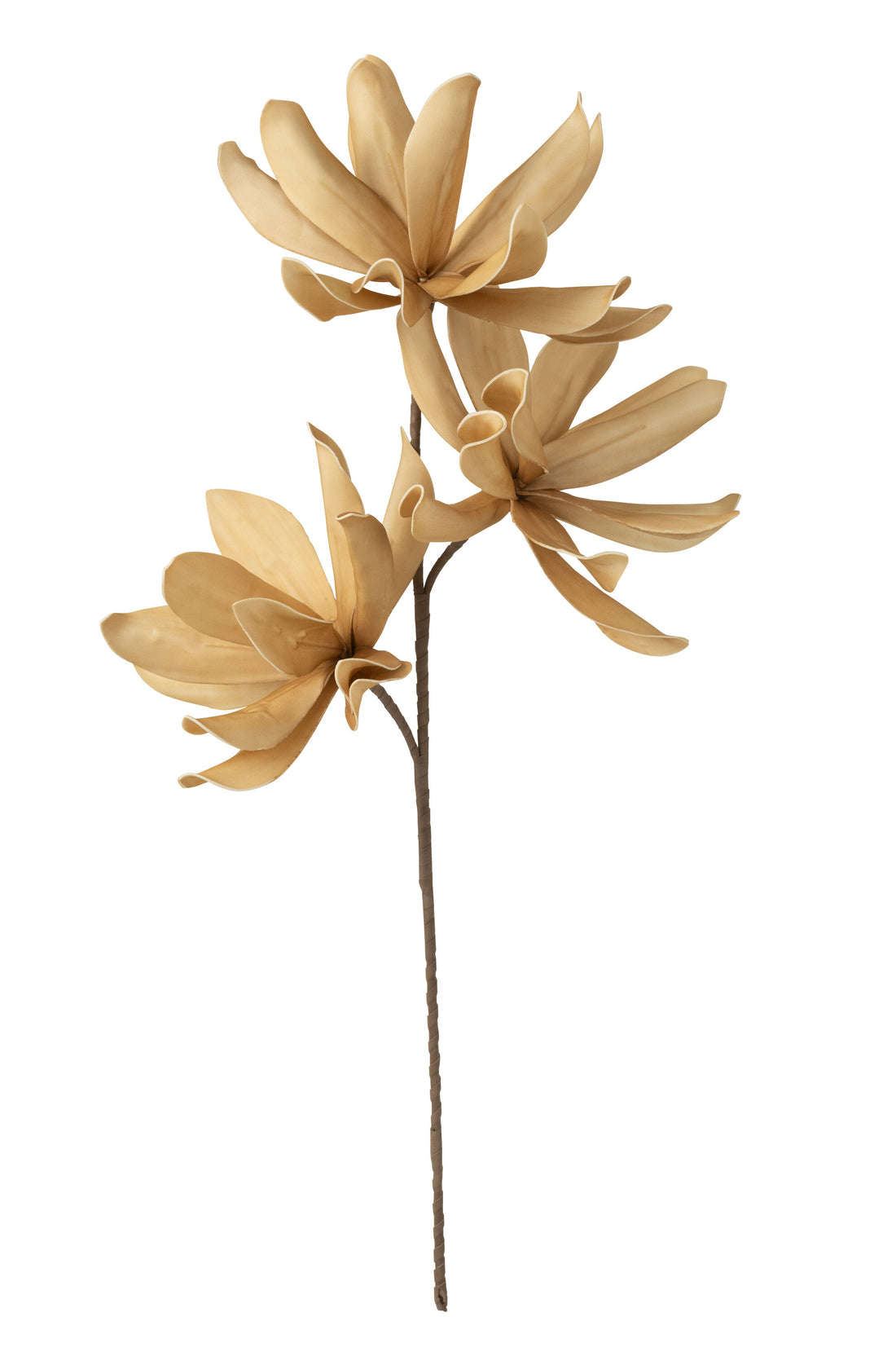 Bloementak met 3 bloemen